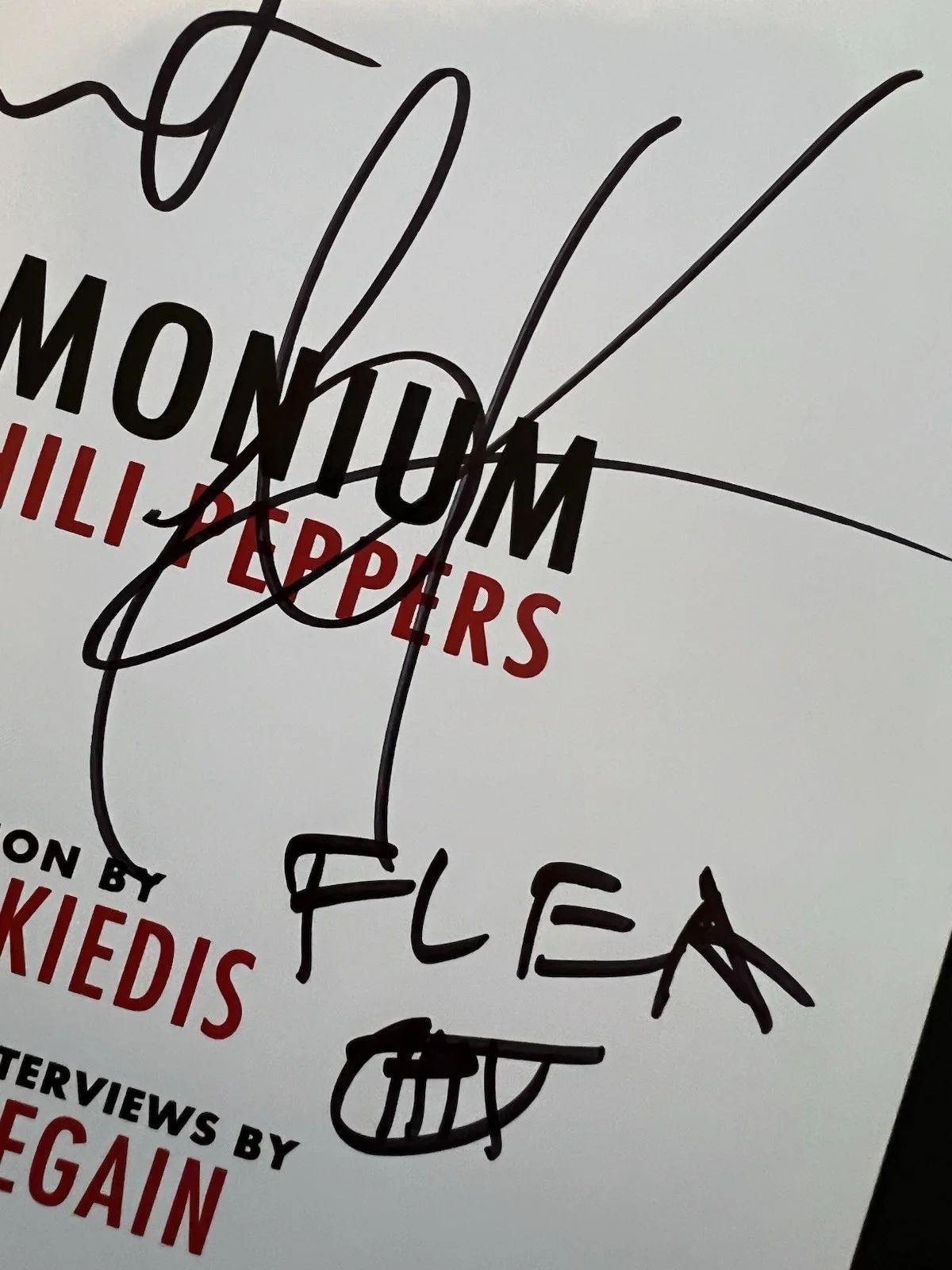 Authentic Red Hot Chili Peppers AUTOGRAPHED Fandemonium soft cover book signed, image 4