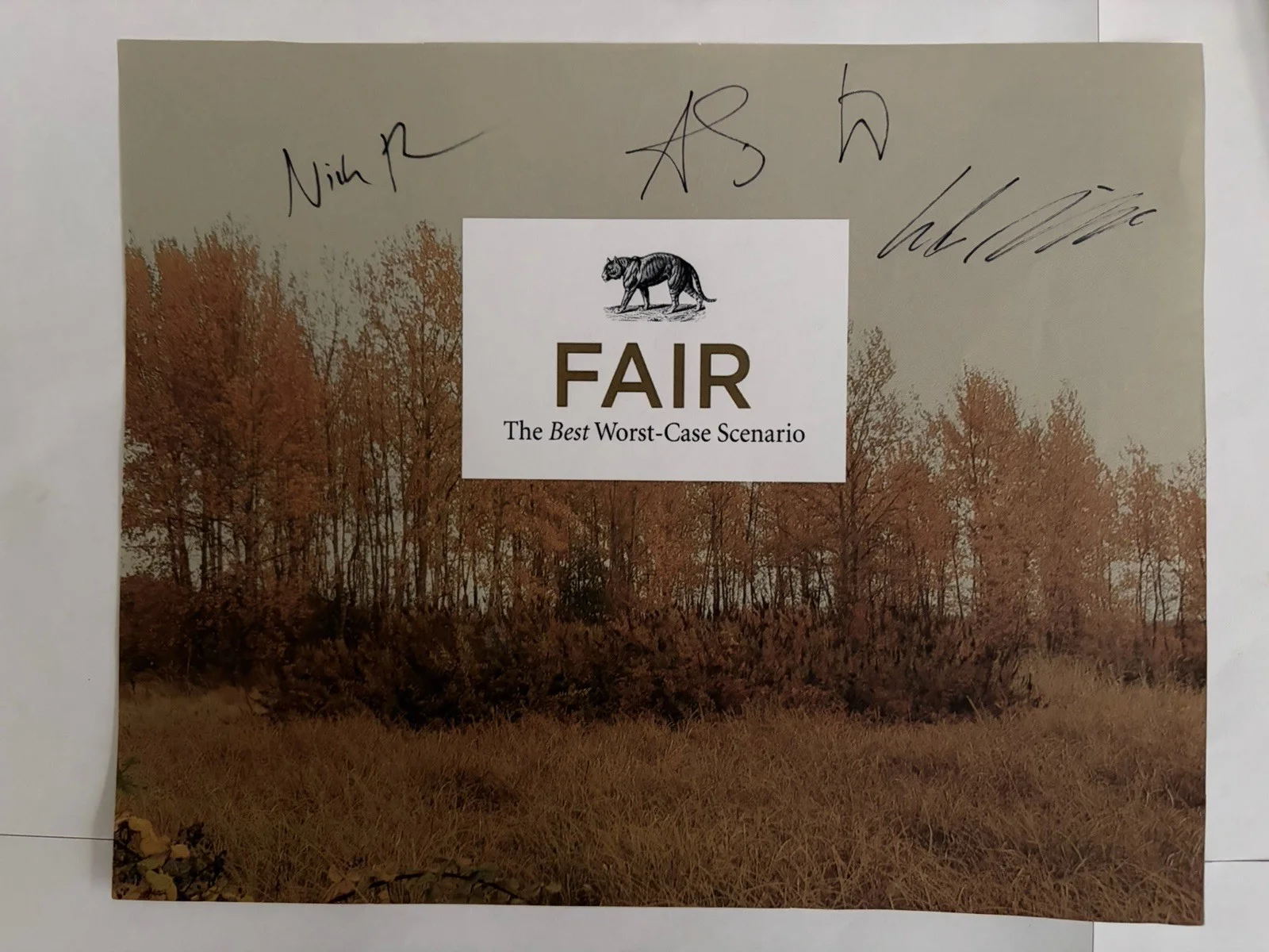 Fair Signed Autographed Photo CD Lot Best Worst Case Scenario Disappearing World, image 2