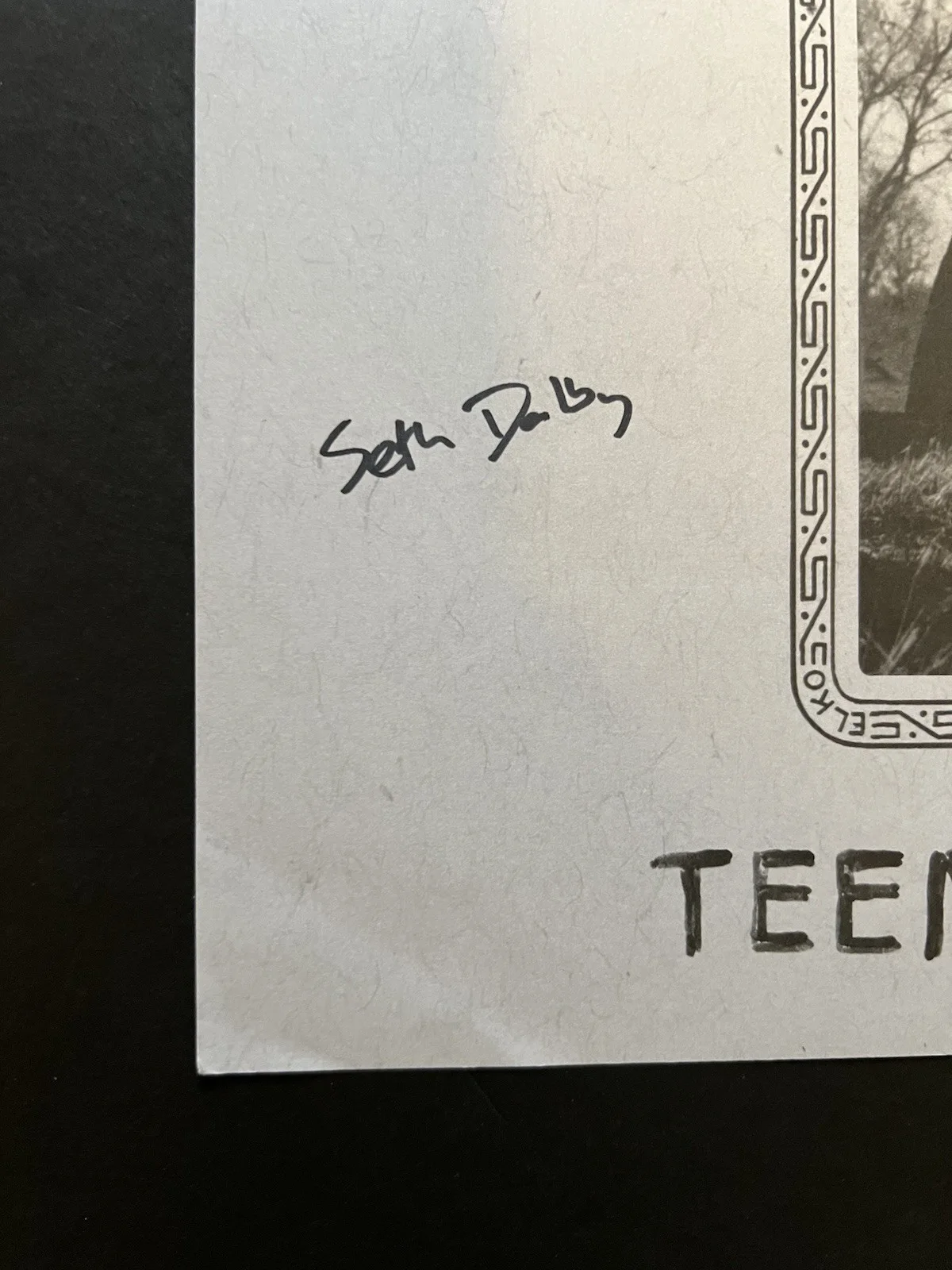 Authentic Autographed Car Seat Headrest Teens of Denial LP record flat signed, изображение 2