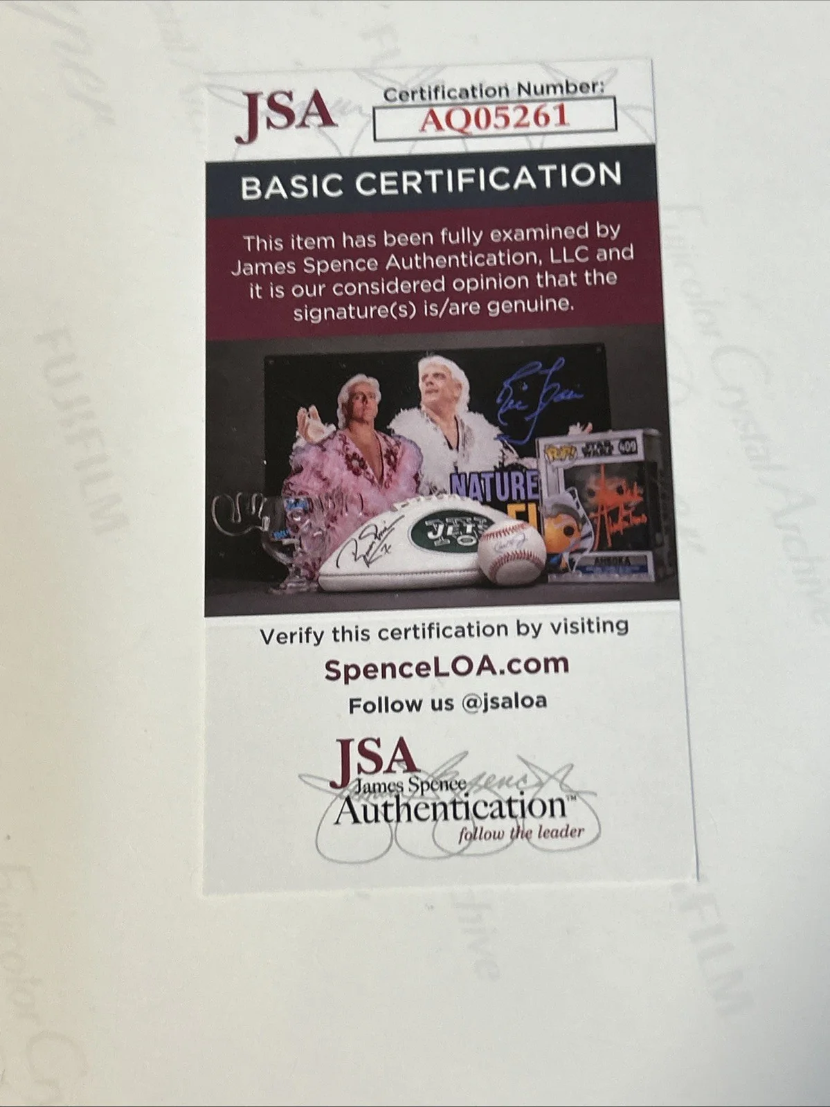 David Koechner Signed 8x10 Photo JSA Certifed, image 3