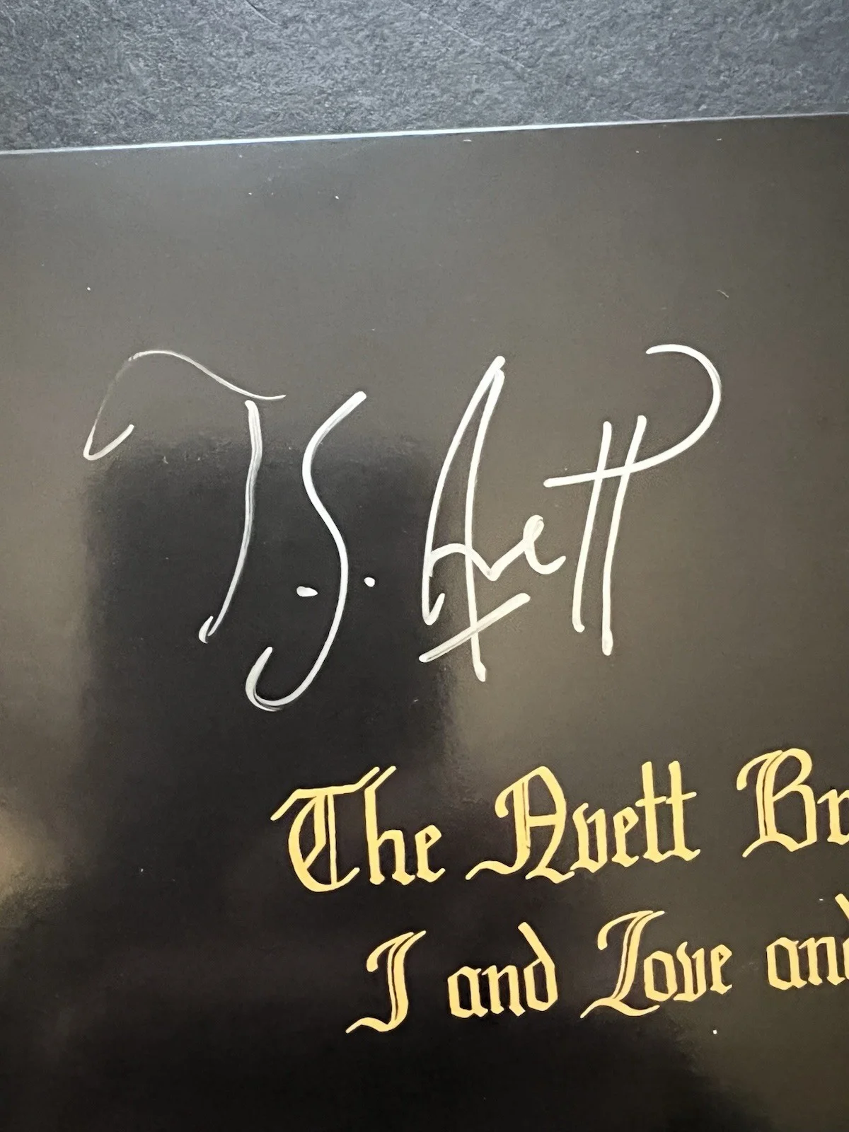 Authentic Autographed Avett Brothers I and Love and You LP record signed vinyl, image 4