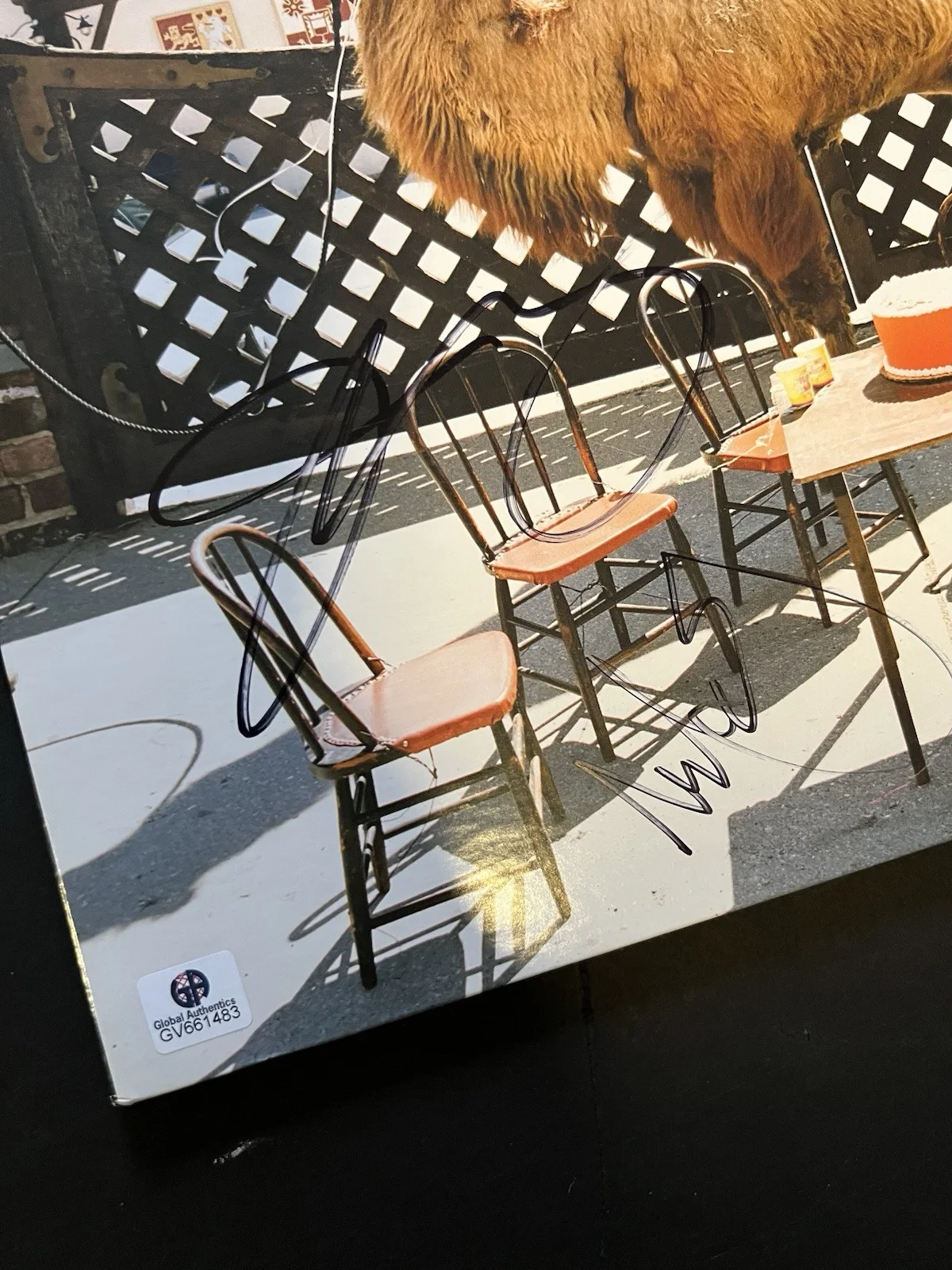 Authentic Autographed Wilco the album LP record signed COA vinyl, изображение 4