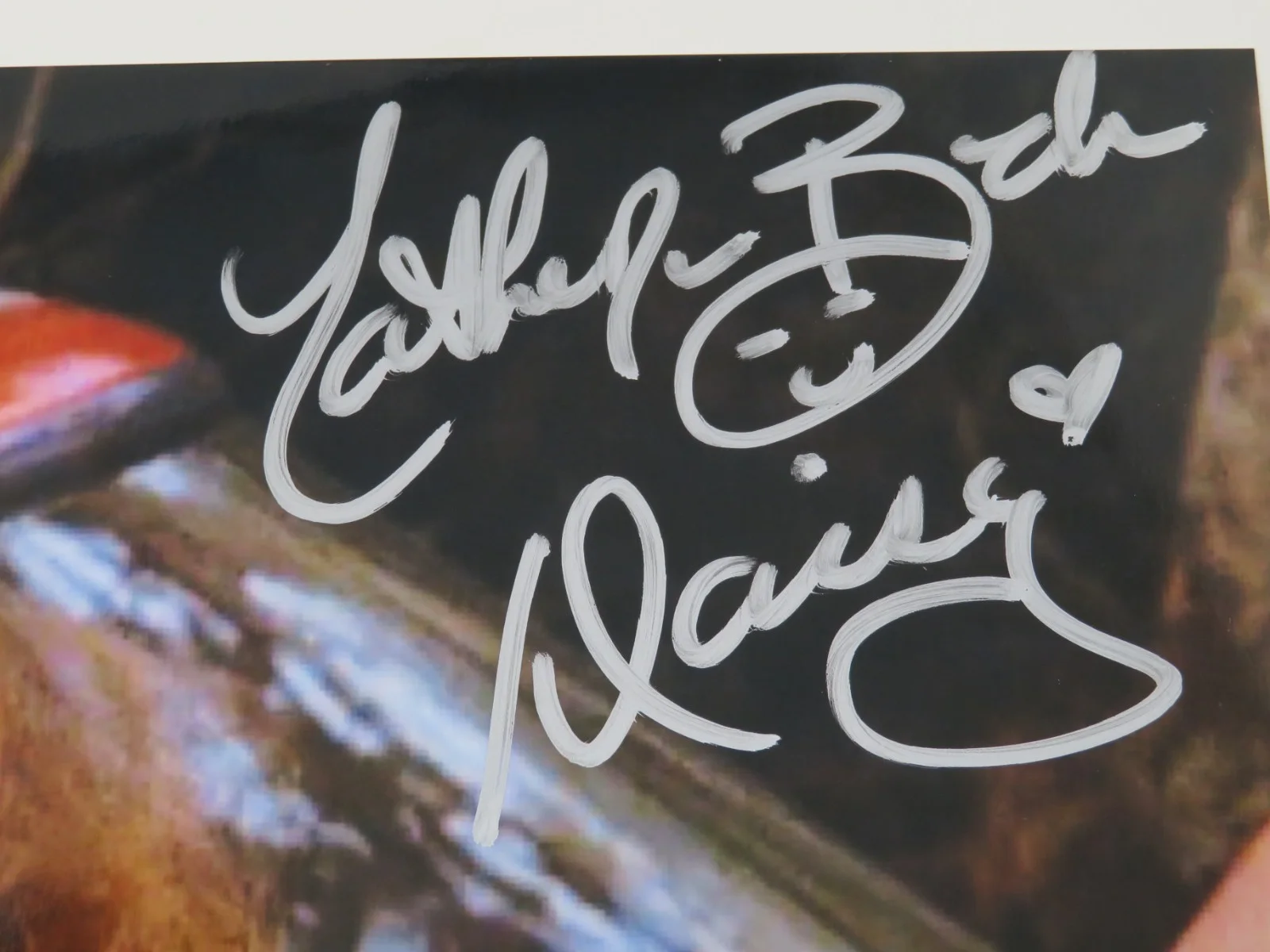 Catherine Bach THE DUKES OF HAZZARD Signed Autograph "Daisy Duke" 8x10 Photo JSA, изображение 2
