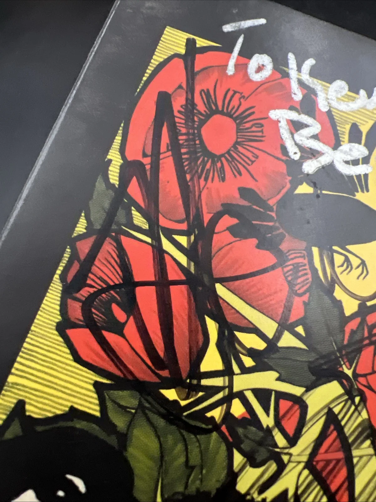 Incubus Signed Limited CD/DVD “ A Crow Left “ Band Autograph W/ Brandon Boyd, изображение 4
