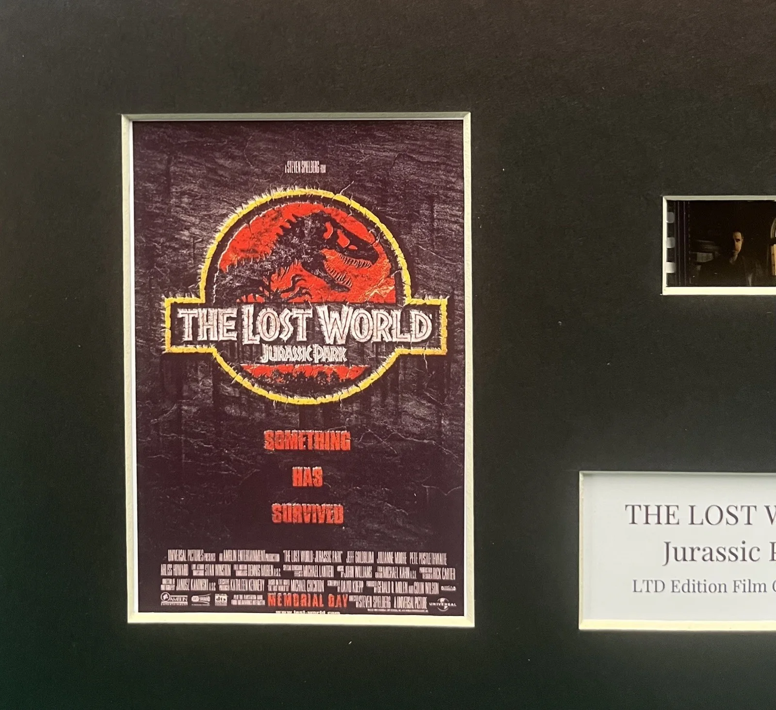 THE LOST WORLD Jurassic Park . 35mm Film Cell Mounted Display, image 2
