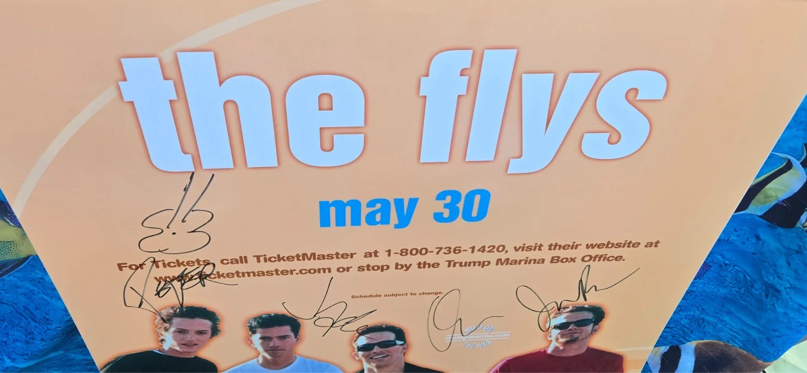 The flys autographed music poster, image 4
