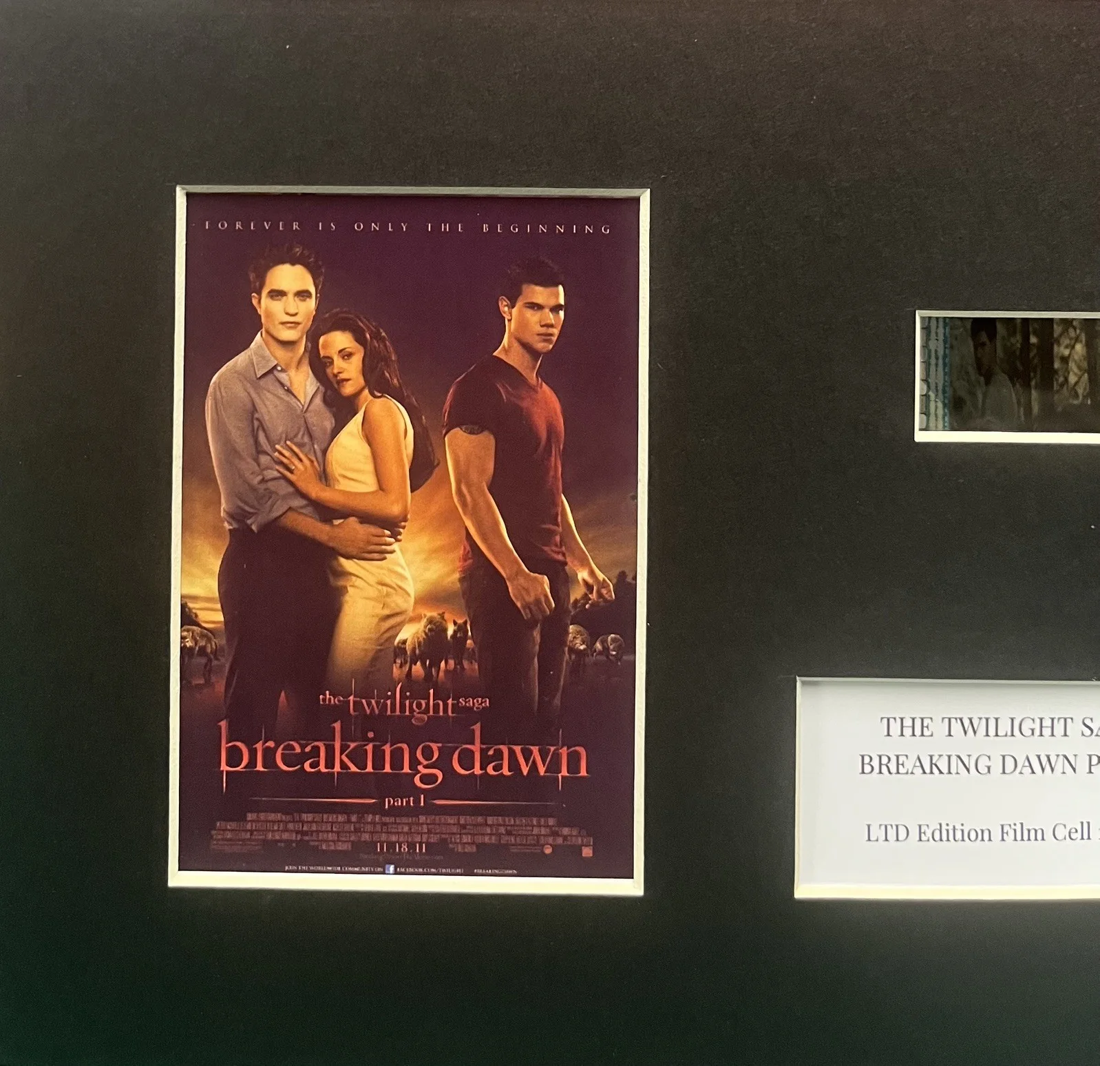 THE. TWILIGHT. SAGA. BREAKING DAWN PART 1 . 35mm Film Cell Mounted Display, изображение 2