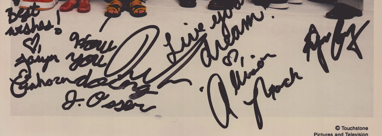 Eugene Levy, Allison Mack, Kyle Sabihy, Jonathan Osser — HILLER & DILLER TV CAST - PHOTOGRAPH SIGNED WITH CO-SIGNERS, изображение 3