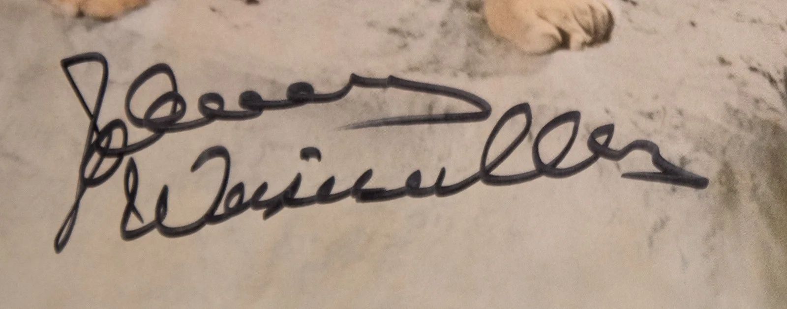 Johnny Weissmuller — JOHNNY WEISSMULLER - AUTOGRAPHED SIGNED POSTER, image 2
