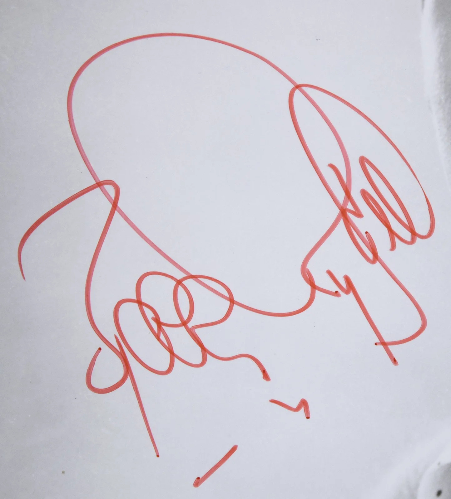 Bobby Rydell — BOBBY RYDELL - PHOTOGRAPH SIGNED, image 3