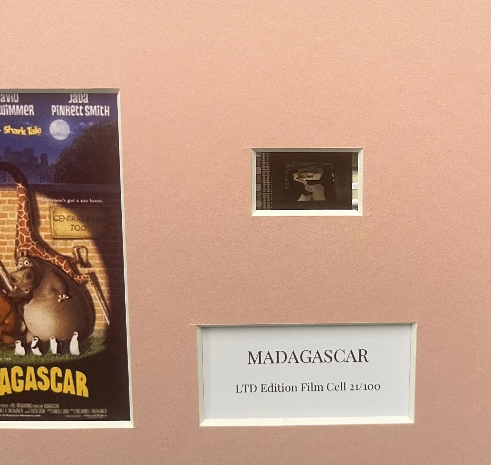 MADAGASCAR. 35mm Film Cell Mounted Display, image 3
