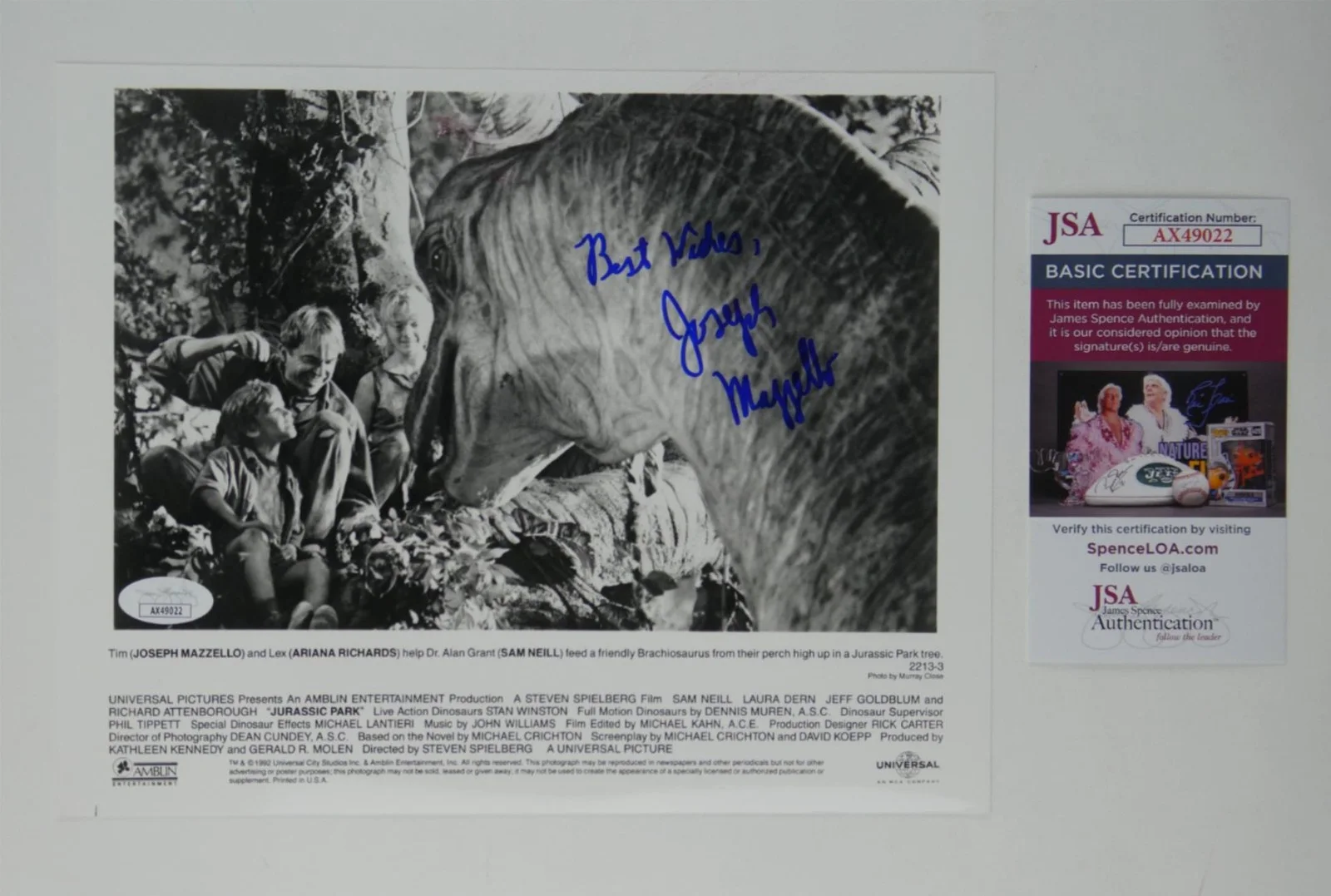 Joseph Mazzello — Joseph Mazzello Signed B&W 8x10 Promo Photo Jurassic Park Autographed JSA COA