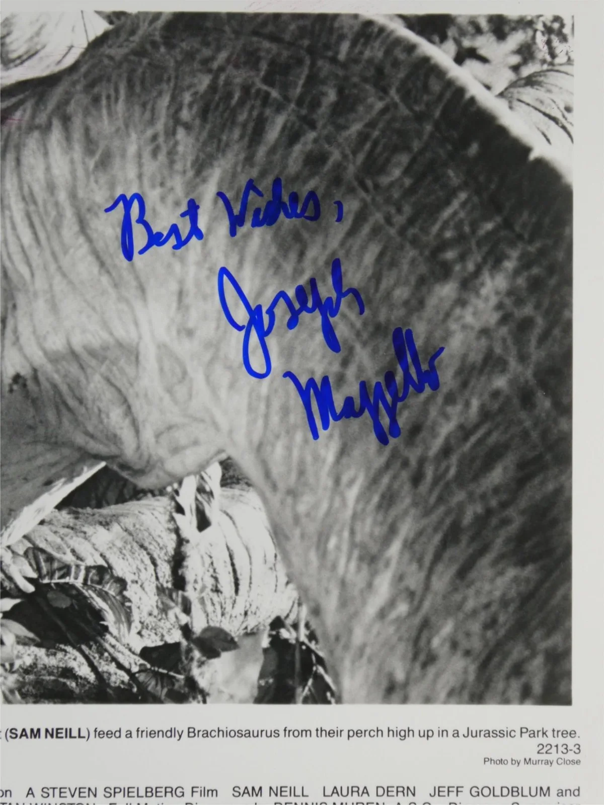 Joseph Mazzello — Joseph Mazzello Signed B&W 8x10 Promo Photo Jurassic Park Autographed JSA COA, изображение 3