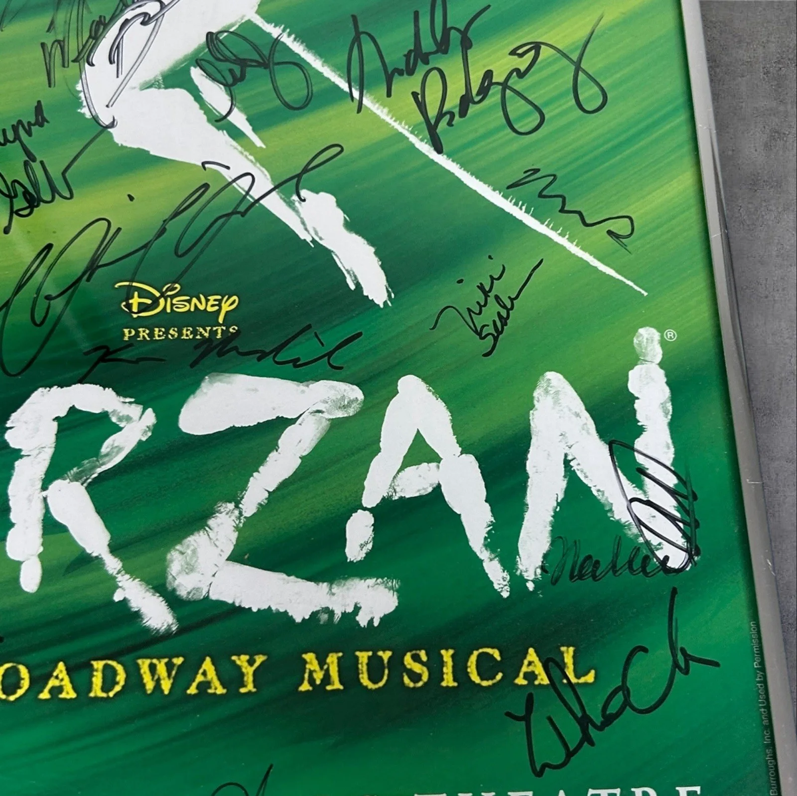 TARZAN DISNEY BROADWAY CAST SIGNED POSTER, image 2