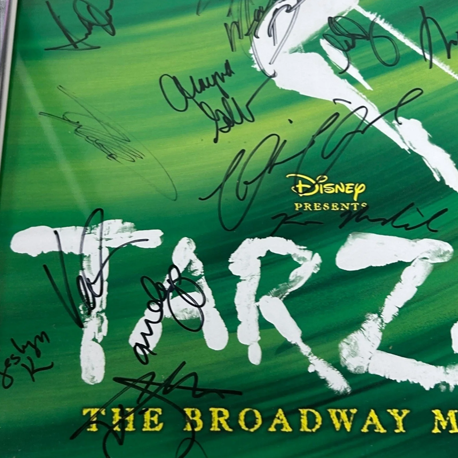 TARZAN DISNEY BROADWAY CAST SIGNED POSTER, image 3