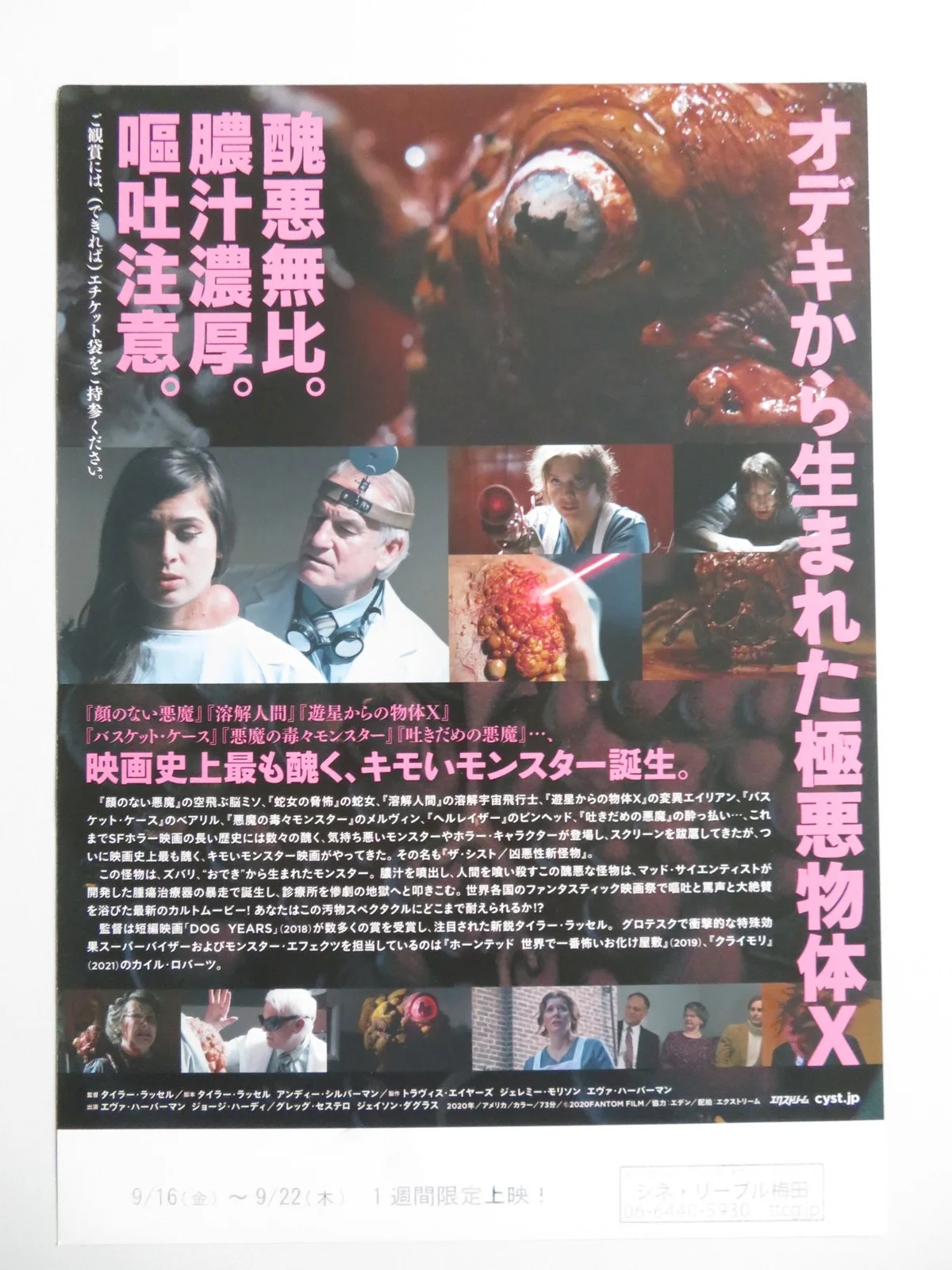 CYST JAPANESE CHIRASHI (B5) POSTER EVA HABERMANN GEORGE HARDY 2020, изображение 3