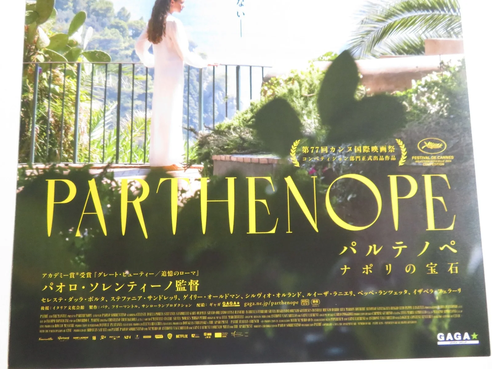 PARTHENOPE JAPANESE CHIRASHI (B5) POSTER CELESTE DALLA PORTA GARY OLDMAN 2024, изображение 2
