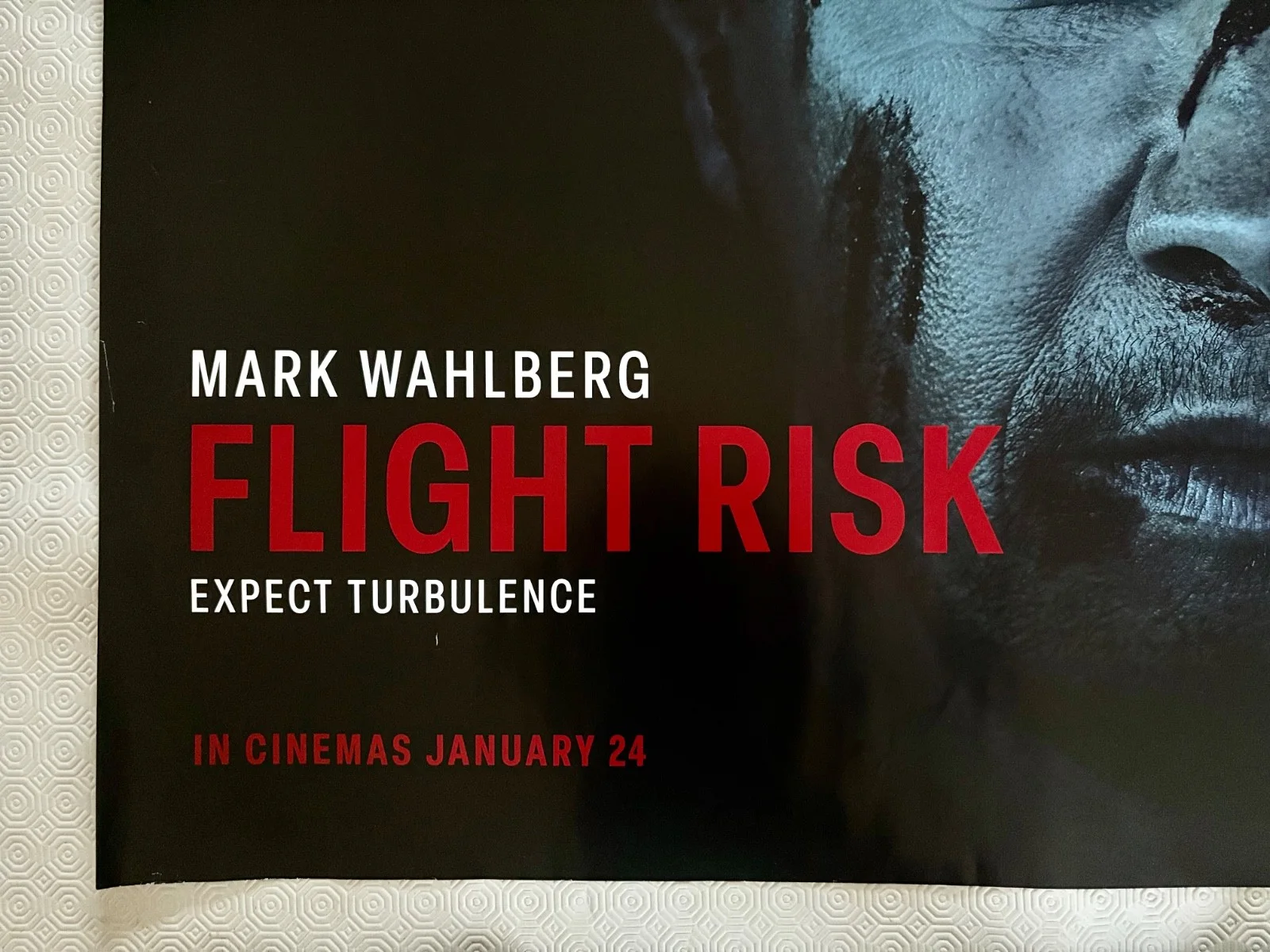 Flight Risk Original Double Sided 2025 Quad Poster Mark Wahlberg Mel Gibson, изображение 2