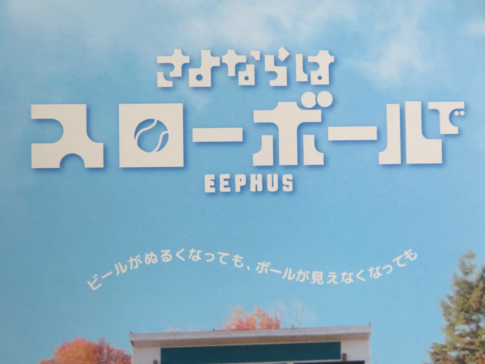 EEPHUS - B JAPANESE CHIRASHI (B5) POSTER FREDERICK WISEMAN BILL LEE 2024, изображение 2