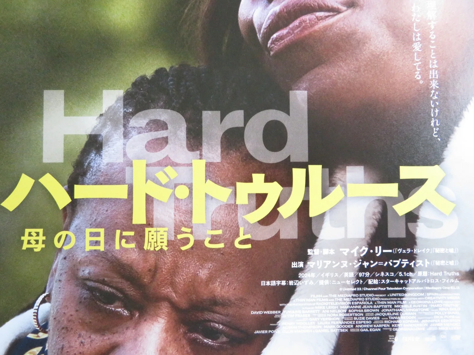 HARD TRUTHS JAPANESE CHIRASHI (B5) POSTER MARIANNE JEAN-BAPTISTE AUSTIN 2024, изображение 2
