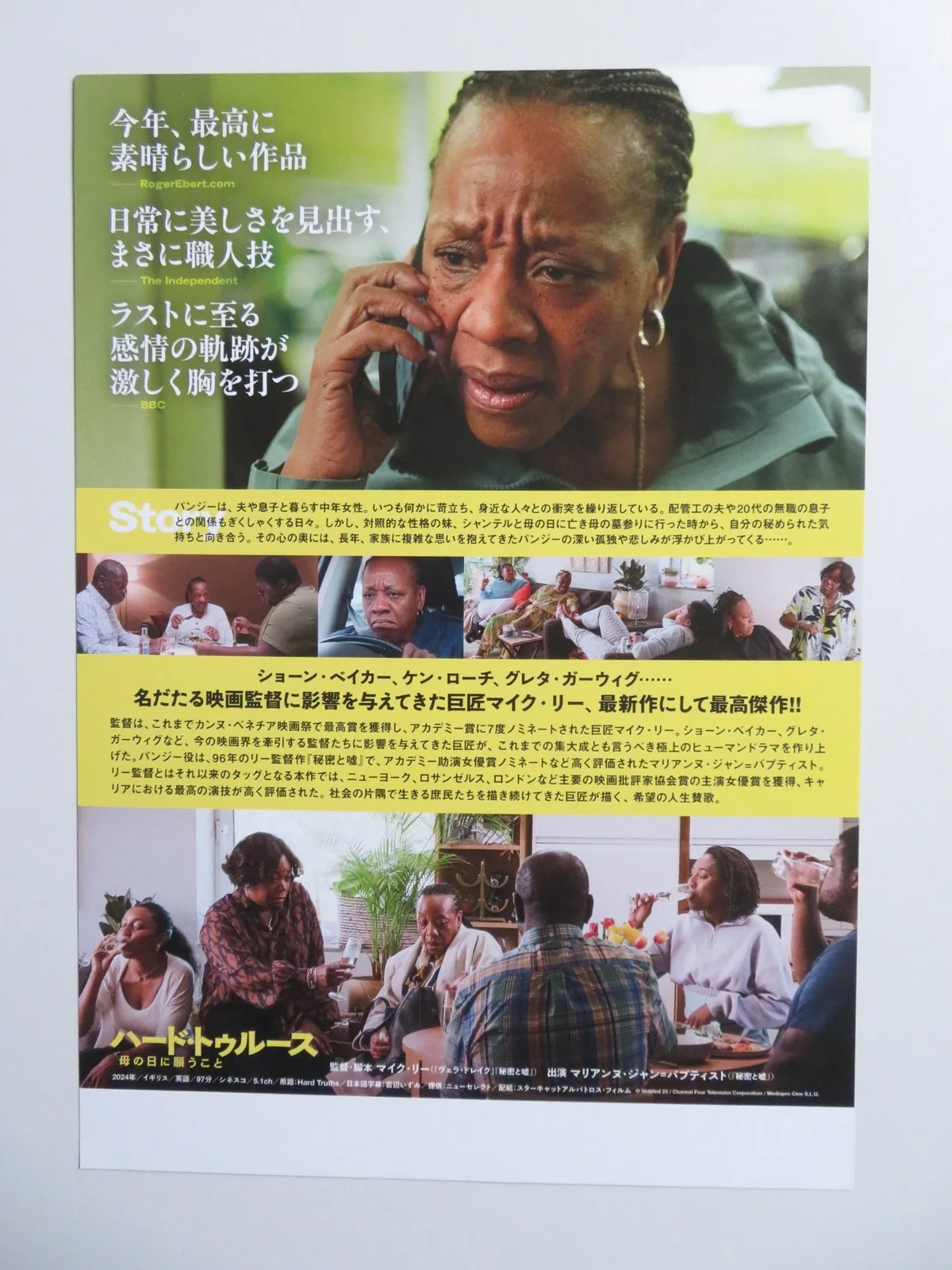 HARD TRUTHS JAPANESE CHIRASHI (B5) POSTER MARIANNE JEAN-BAPTISTE AUSTIN 2024, изображение 3