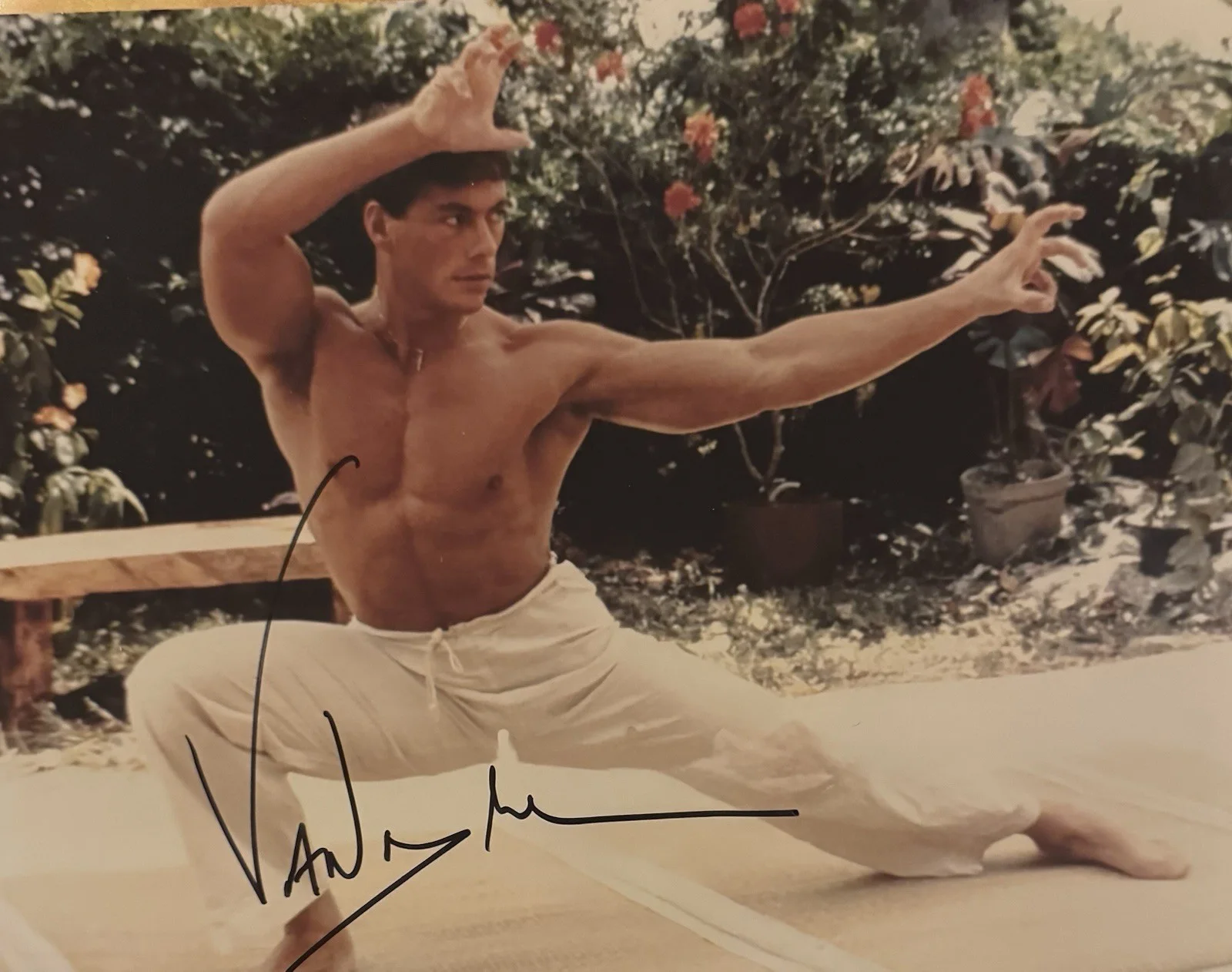 Jean Claude Van Damme — Jean Claude Van Damme , Signed Autographed 8x10 Color Photo Sexy Shirtless