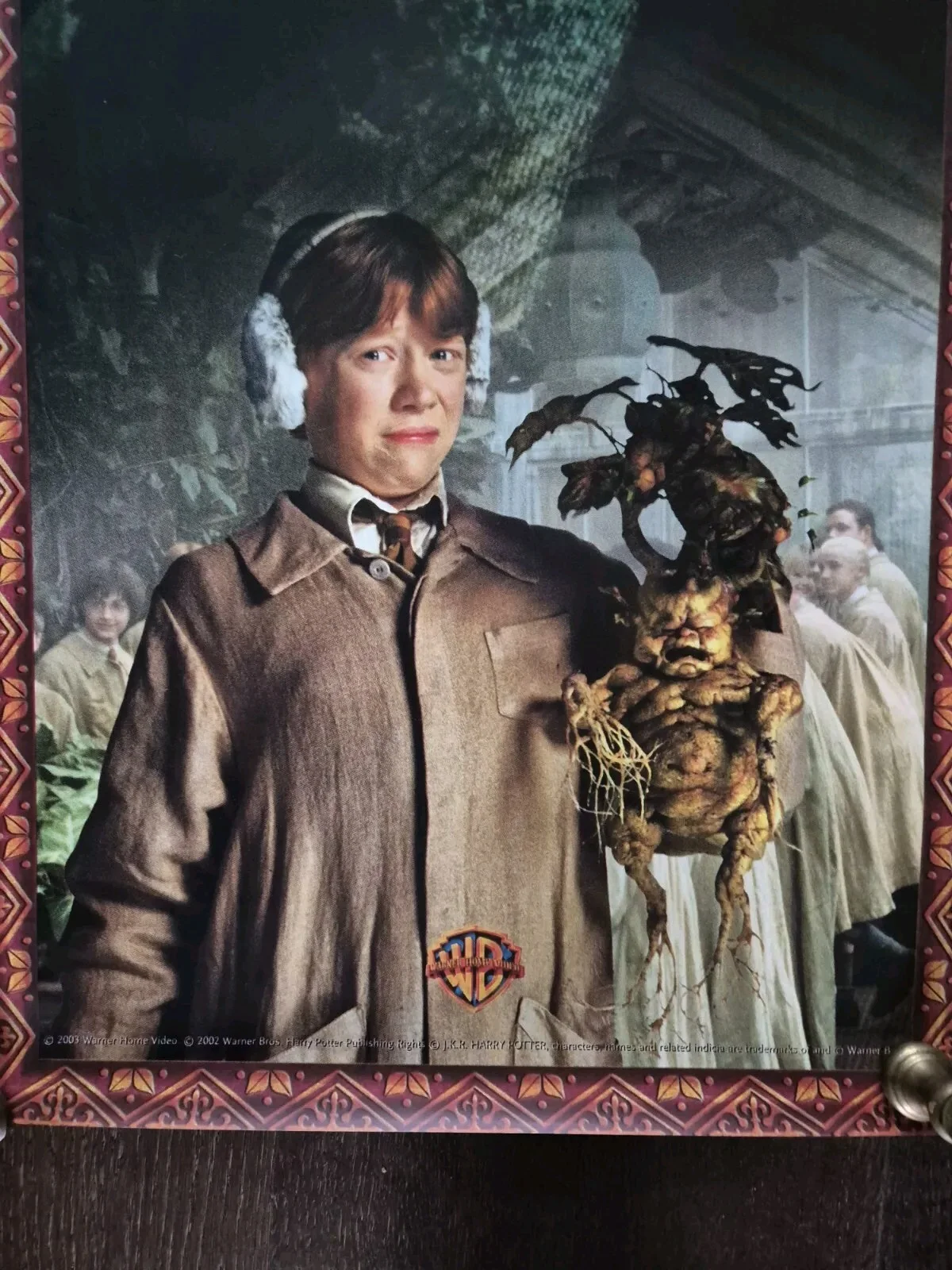 Harry Potter & The Chamber Of Secrets HUGE Original Banner 85" x 18.5" 2003, изображение 2