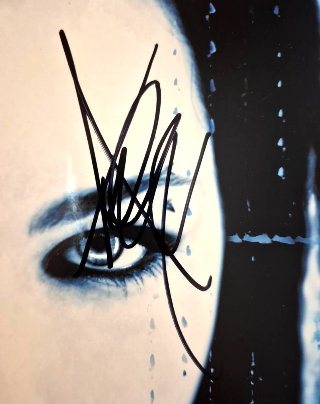AMY LEE SIGNED AUTOGRAPHED EVANESCENCE FALLEN ALBUM VINYL RECORD RARE PSA COA, изображение 2
