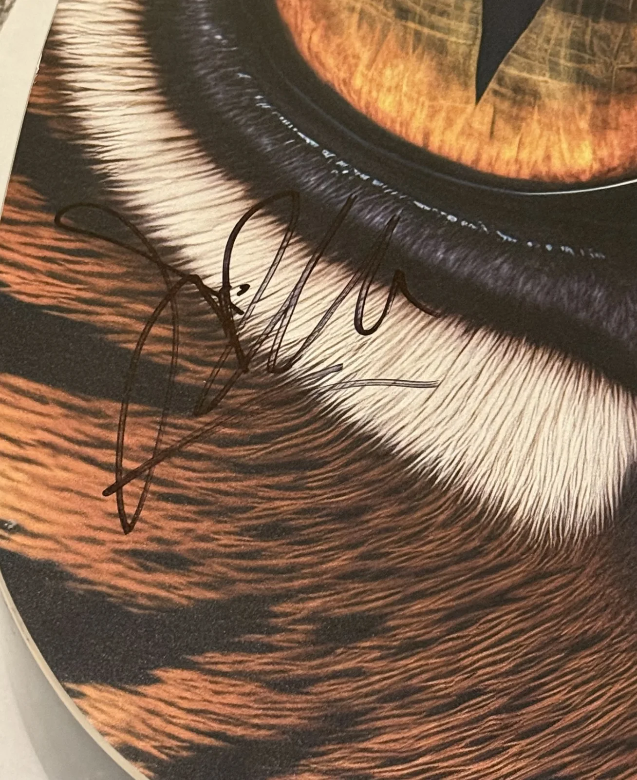Jim Peterik Rocky Eye of the Tiger signed Acoustic Guitar autographed JSA COA, изображение 2