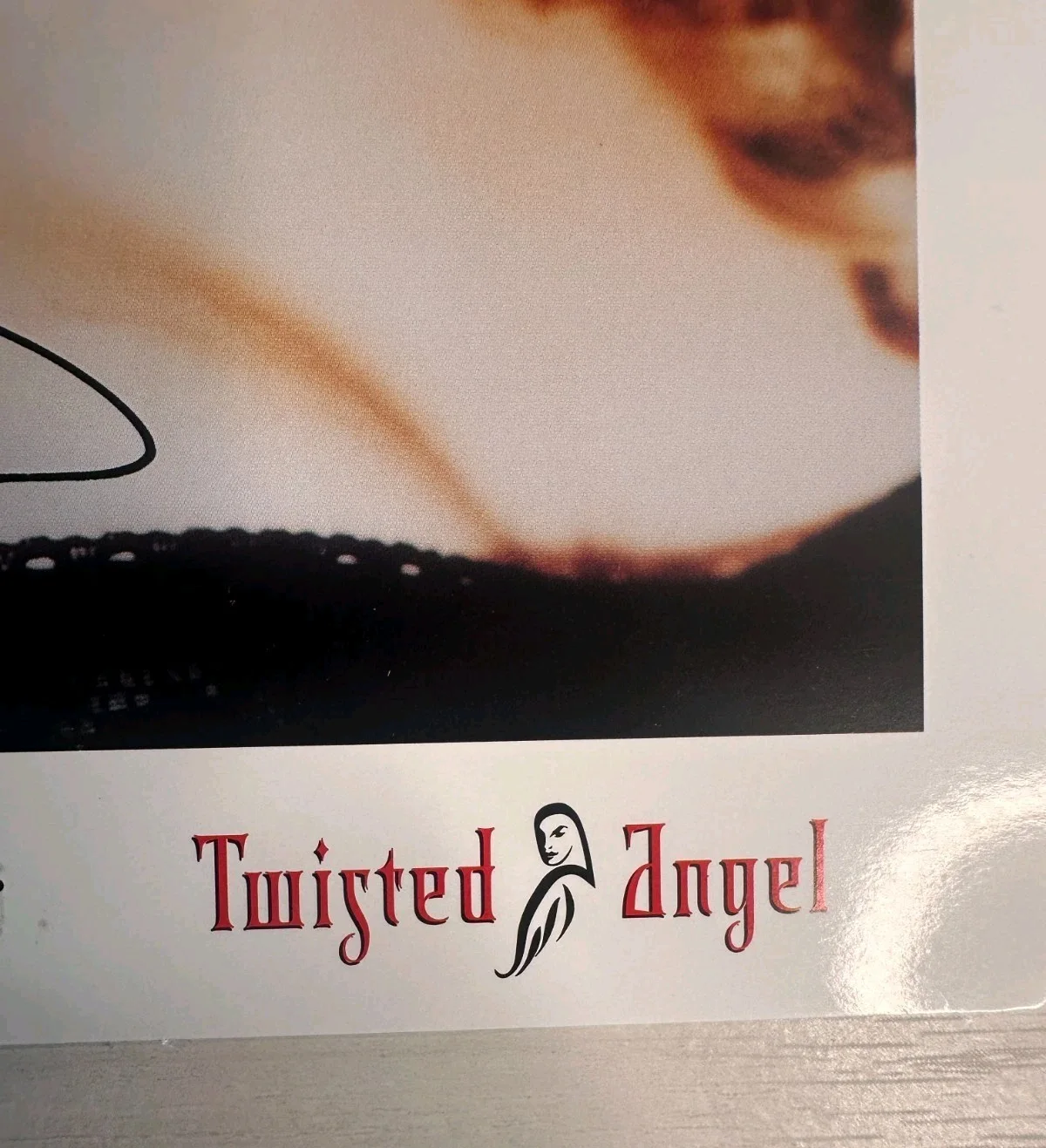 LeAnn Rimes Twisted Angel Promo Photo Printed Autograph 8x10 Collectible, изображение 4