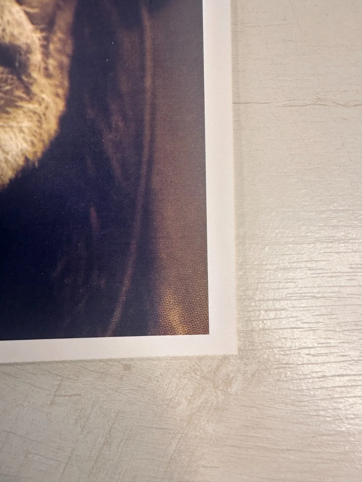 Willie Nelson Signed Sepia Portrait Photo Konica Minolta Long Life 100 Paper, изображение 4