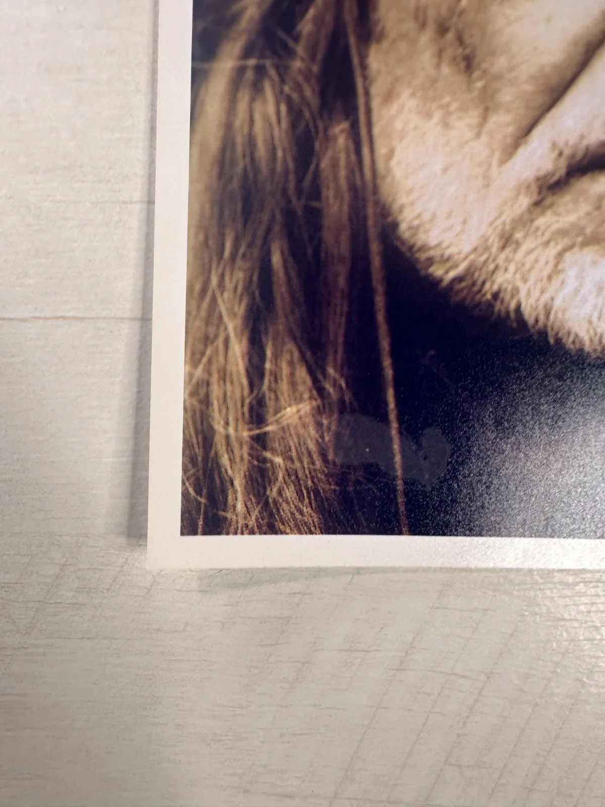 Willie Nelson Signed Sepia Portrait Photo Konica Minolta Long Life 100 Paper, изображение 5