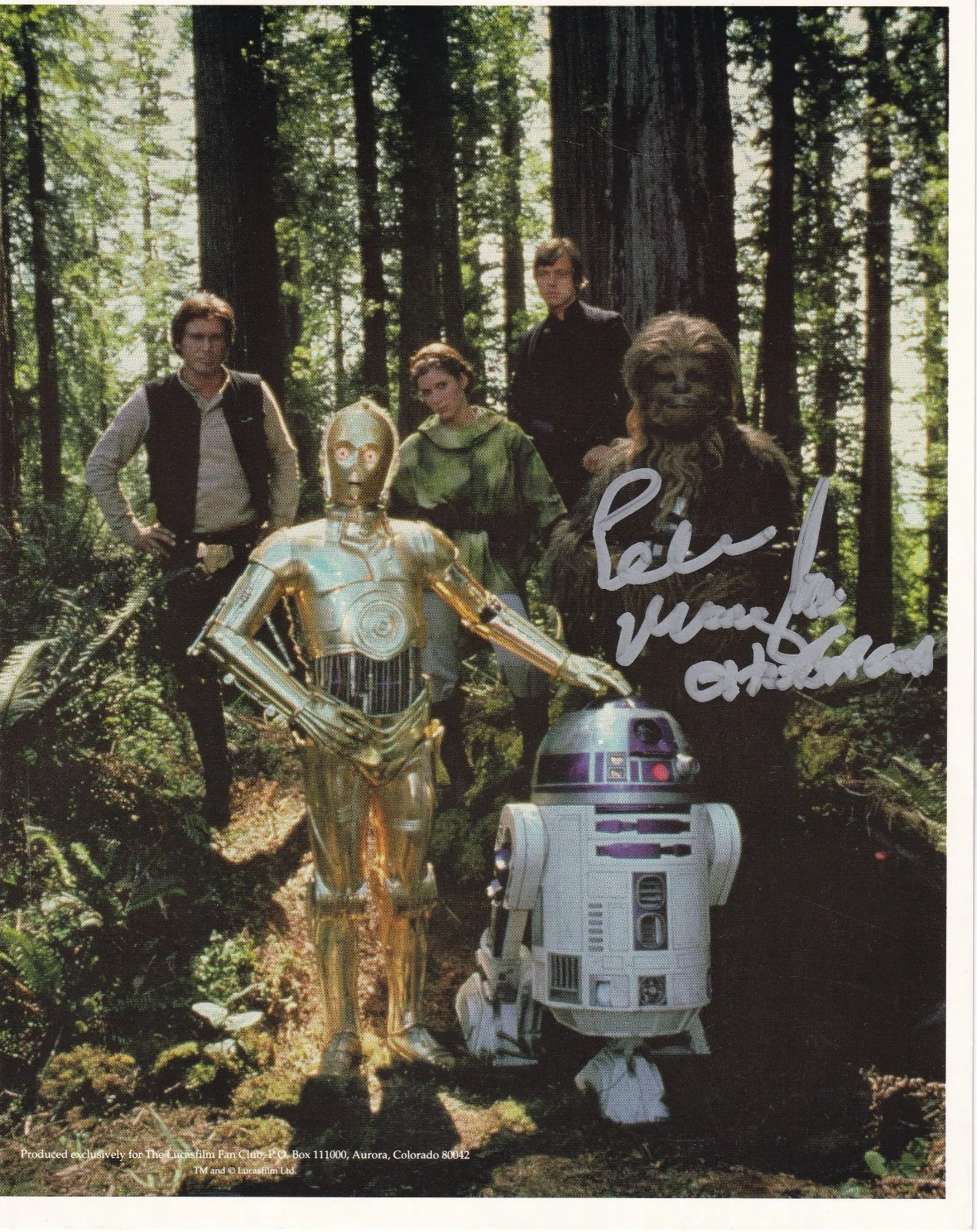 Peter Mayhew — Peter Mayhew Chewbacca Star Wars signed 8 x 10 photo COA