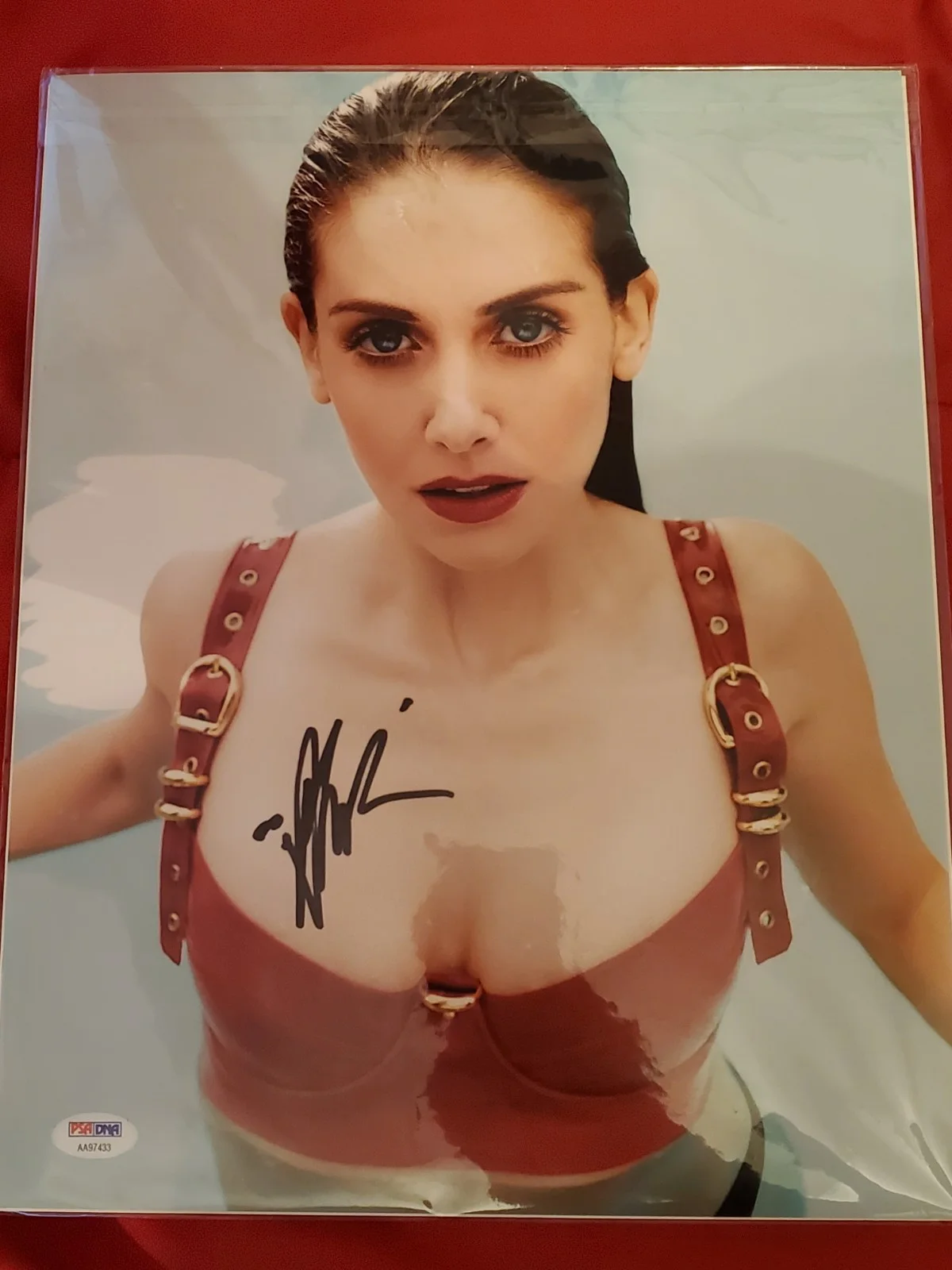 Alison Brie — ALISON BRIE SIGNED 11X14 PHOTO PSA DNA AUTOGRAPH PHOTOSHOOT POOL SWIMSUIT SEXY