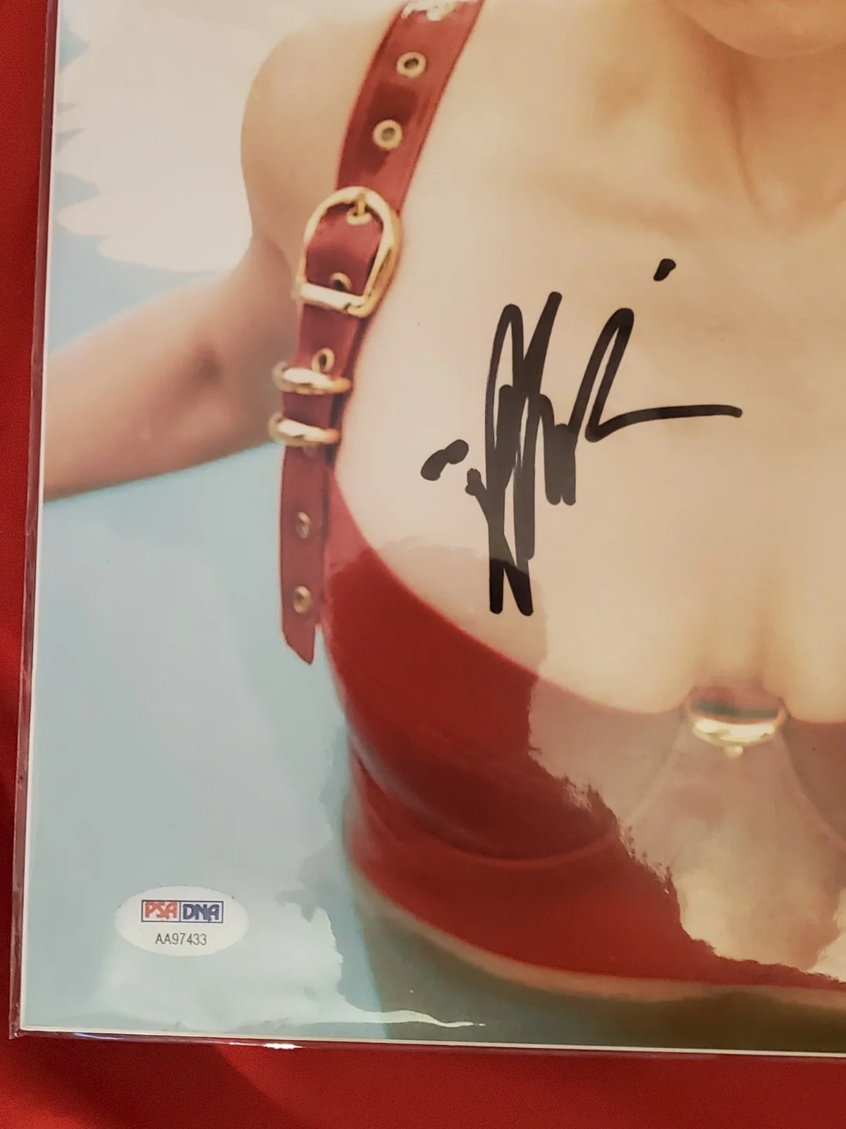 Alison Brie — ALISON BRIE SIGNED 11X14 PHOTO PSA DNA AUTOGRAPH PHOTOSHOOT POOL SWIMSUIT SEXY, изображение 2