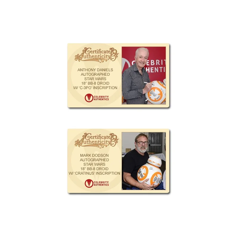 Mark Hamill, Daisy Ridley — Star Wars The Force Awakens Cast Autographed 18″ BB-8 Droid * 20 Autos!, image 3