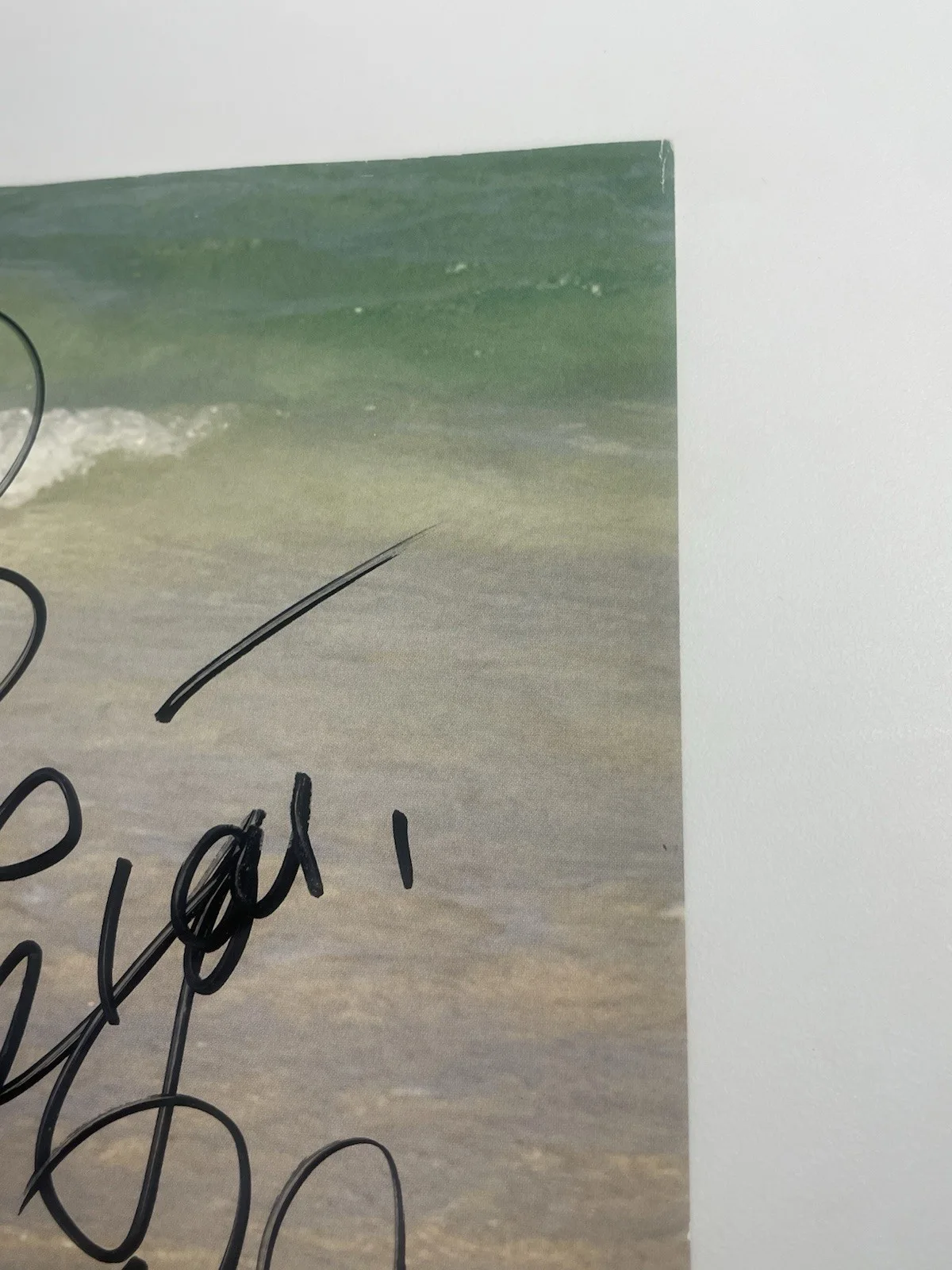 Teri Weigel — Teri Weigel Adult Actress Signed Promo Slick 8.5" x 11", image 4