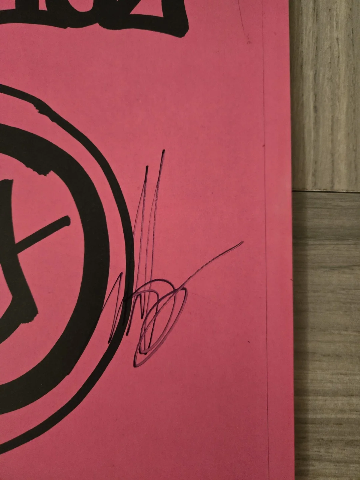 Blink 182 Signed Vinyl One More Time Barker, Hoppus, Delonge JSA Authenticated, image 4