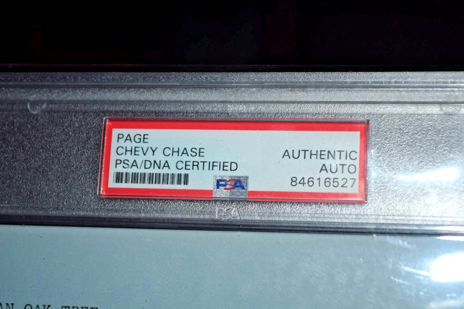 Chevy Chase — Chevy Chase Autograph Signed Caddyshack Script Page PSA/DNA Encapsulated Cert, image 5