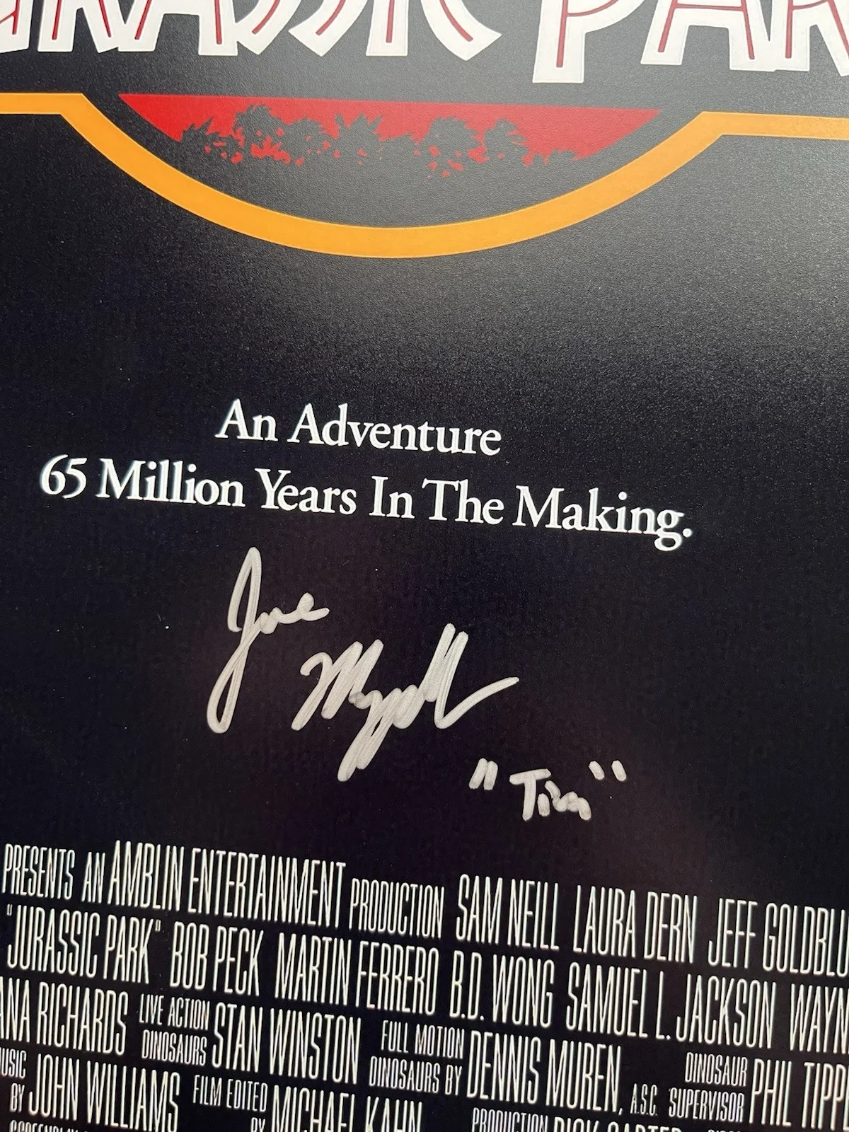 Joseph Mazzello — Joseph Mazzello Signed Jurassic Park 11x17 Photo Beckett COA Tim Murphy, image 4