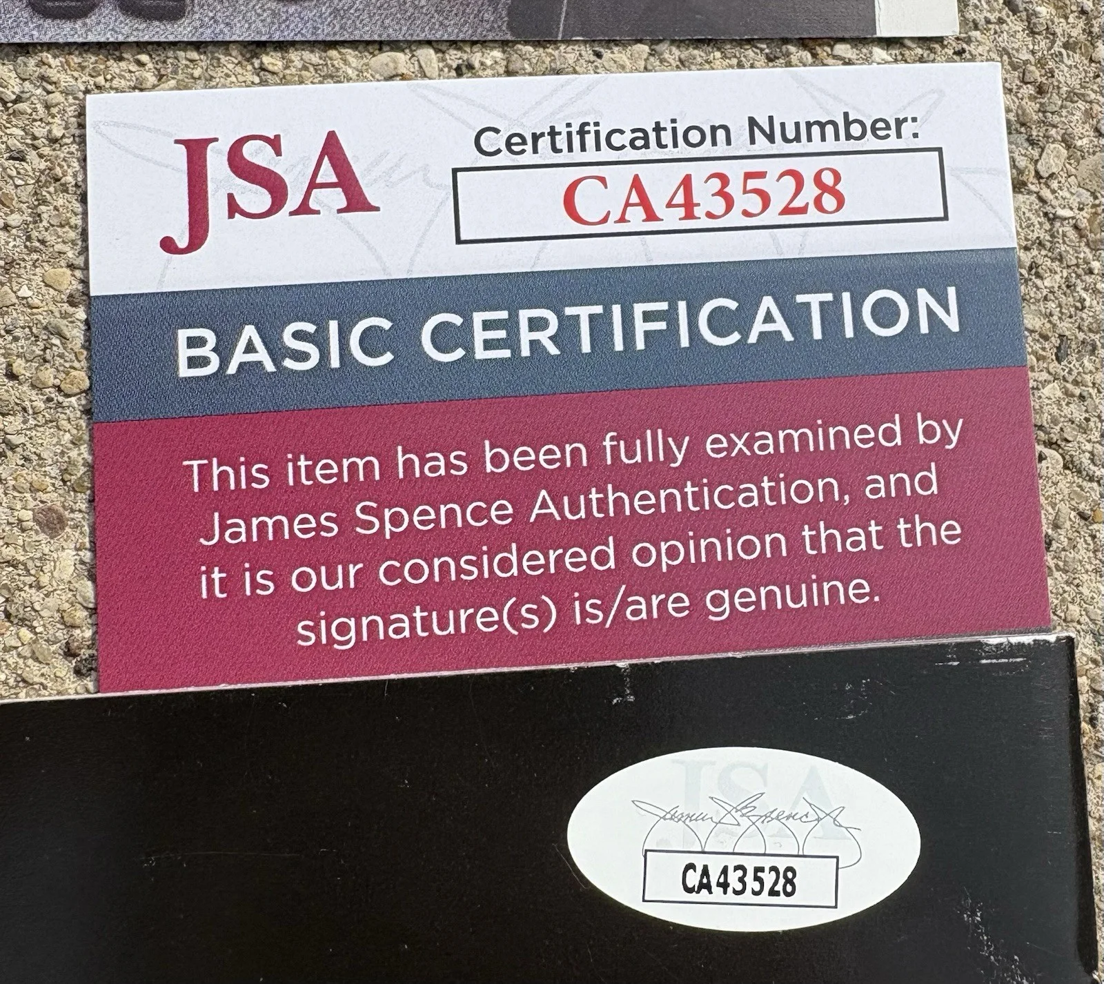 GRACE POTTER SIGNED cd Cover JSA COA This Is Somewhere *No Disk*, image 2