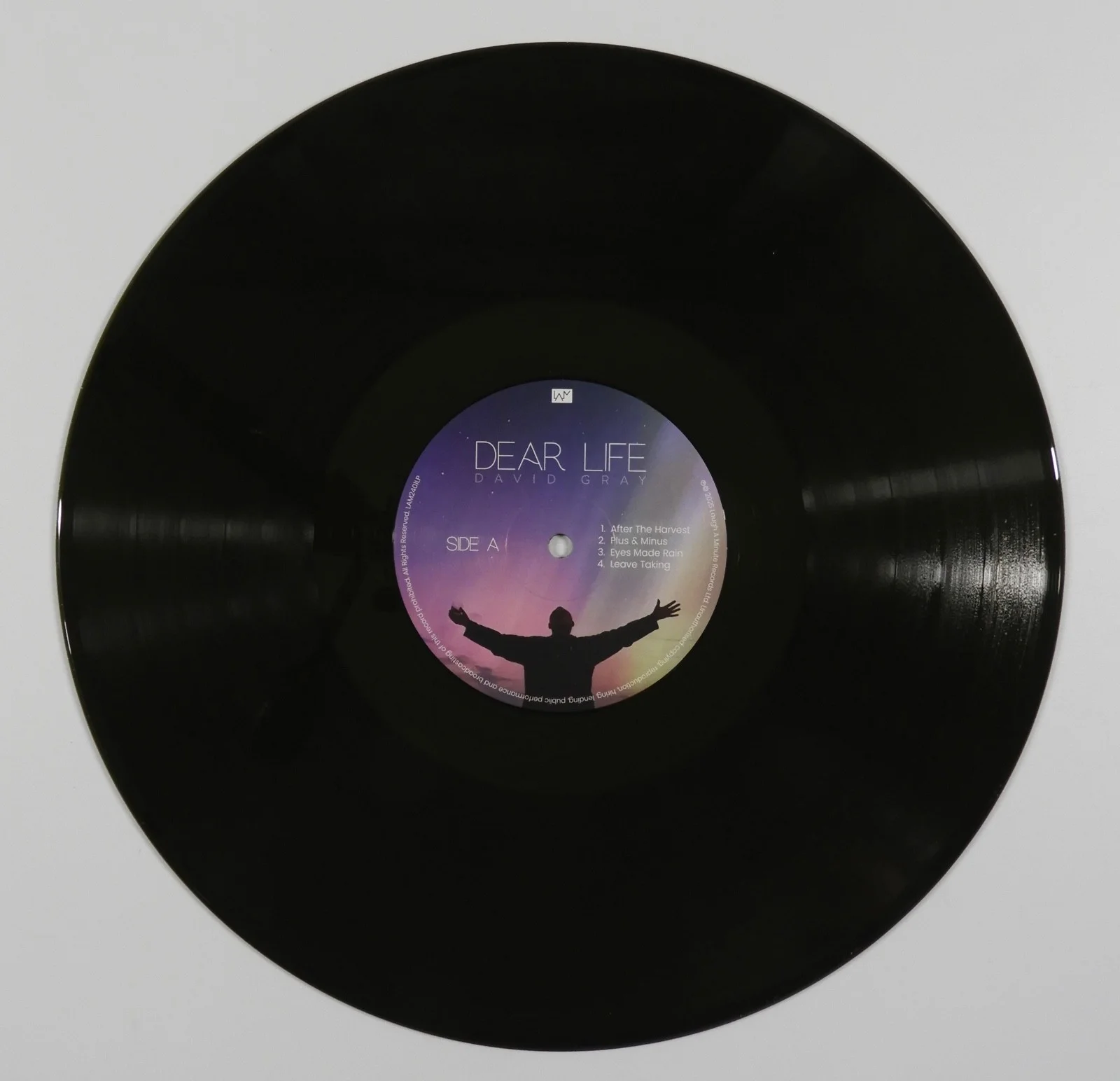 David Gray JSA Signed Autograph Record Vinyl Album Dear Life, image 2