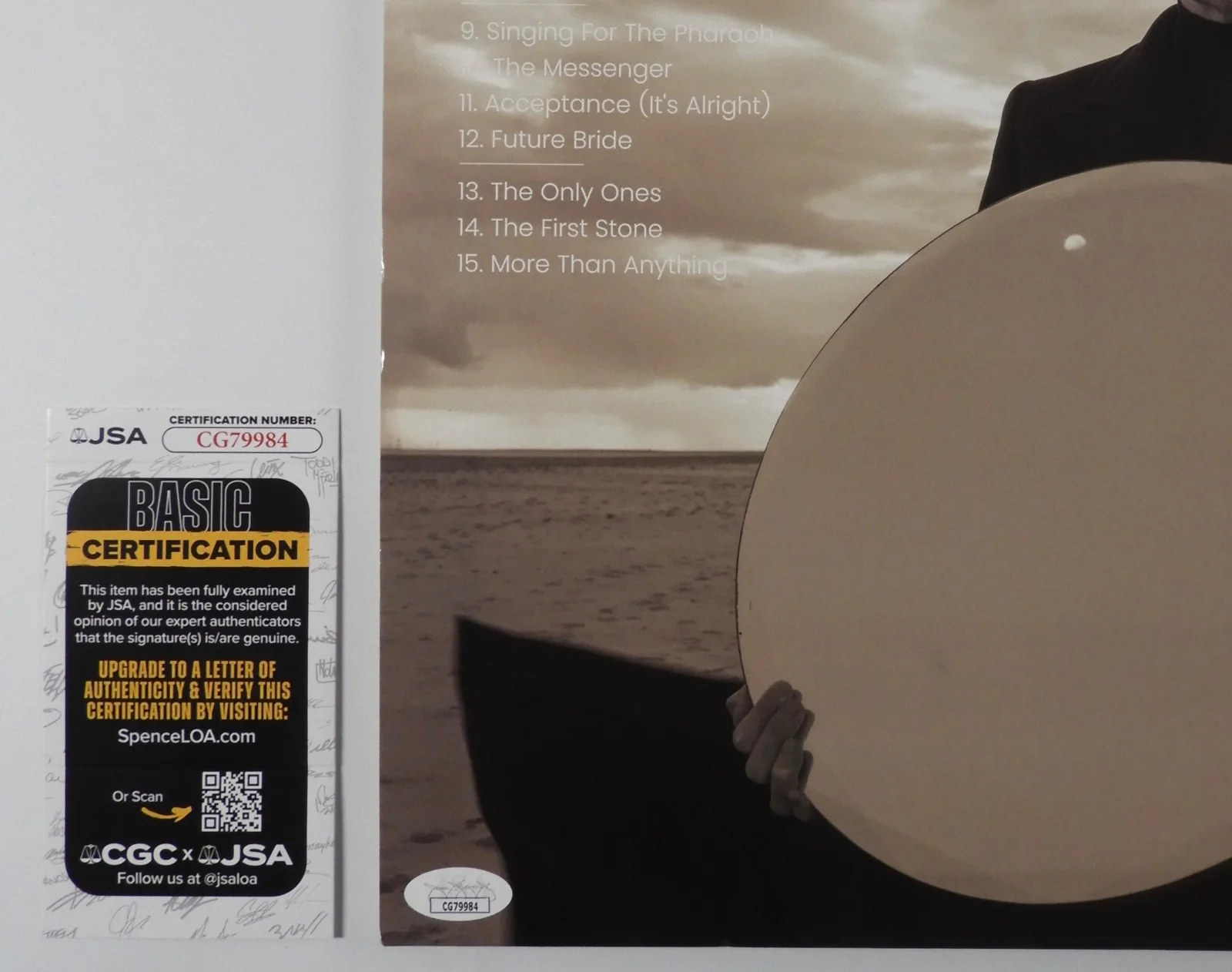 David Gray JSA Signed Autograph Record Vinyl Album Dear Life, image 3
