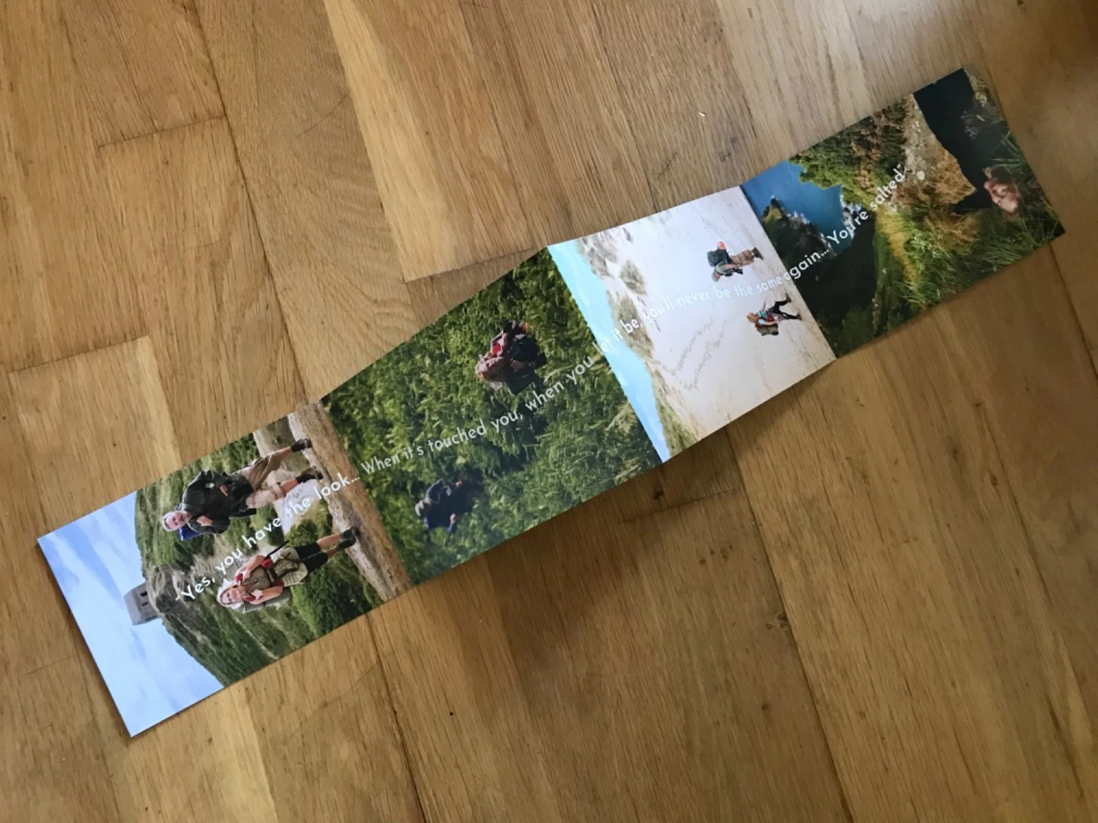 New The Salt Path (2025) PROMO 4-PAGE POSTCARD / FLYER (Gillian Anderson Movie), изображение 3
