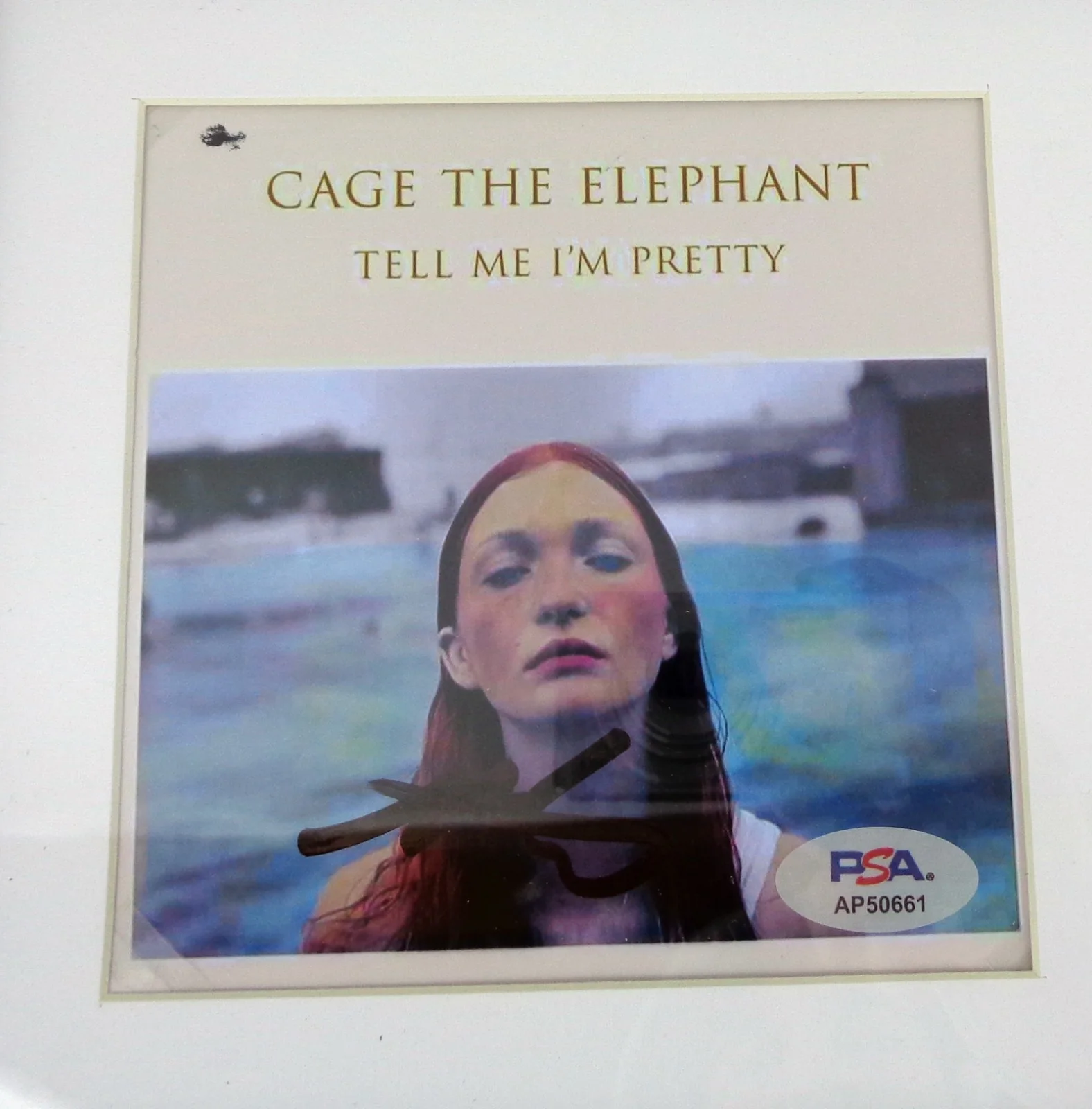 Matt Shultz — Matt Shultz Cage The Elephant Signed Tell Me I'm Pretty CD Framed PSA/DNA COA, изображение 2
