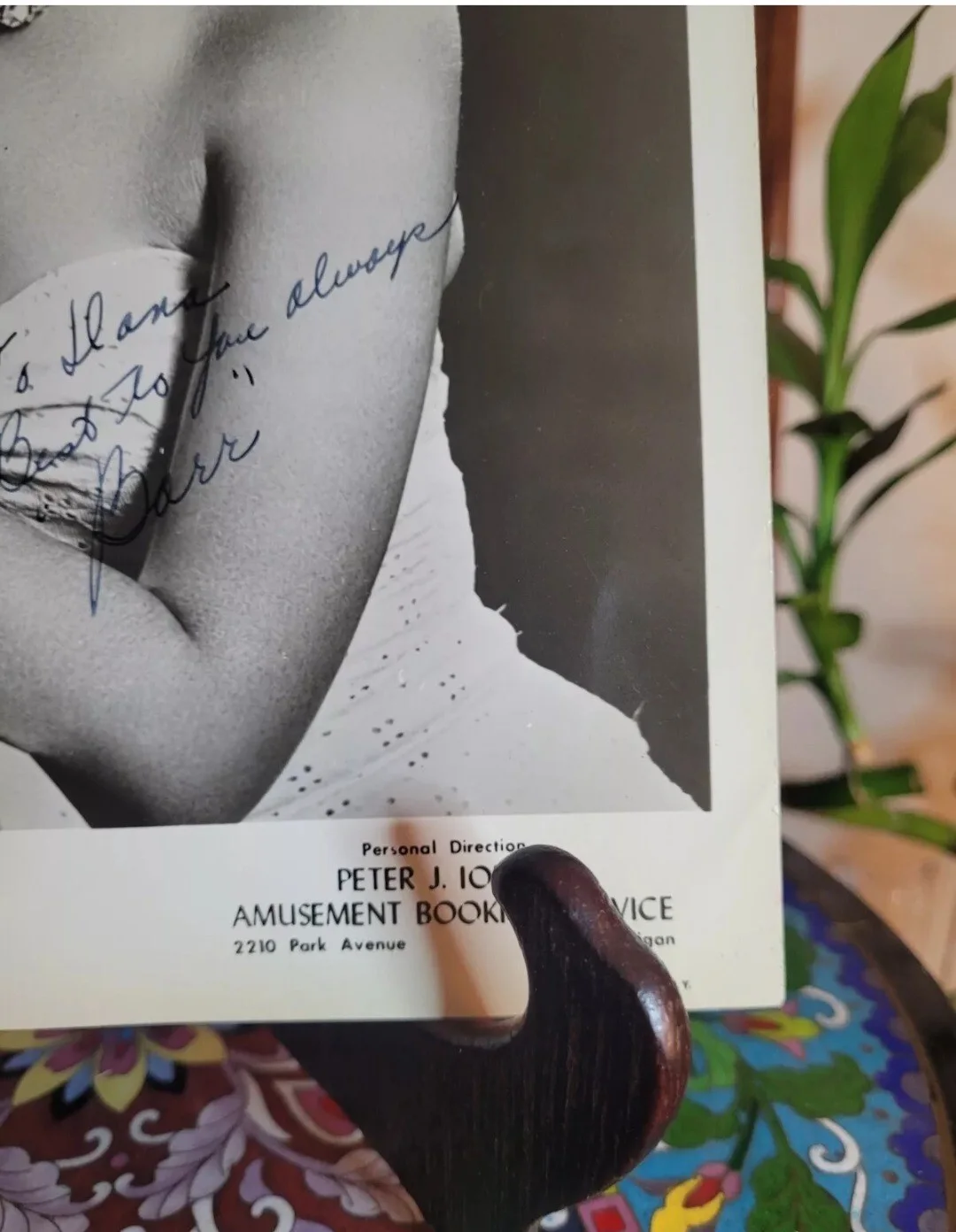 Vintage 8"×10" Autographed Press Photo Bette Barr, image 5