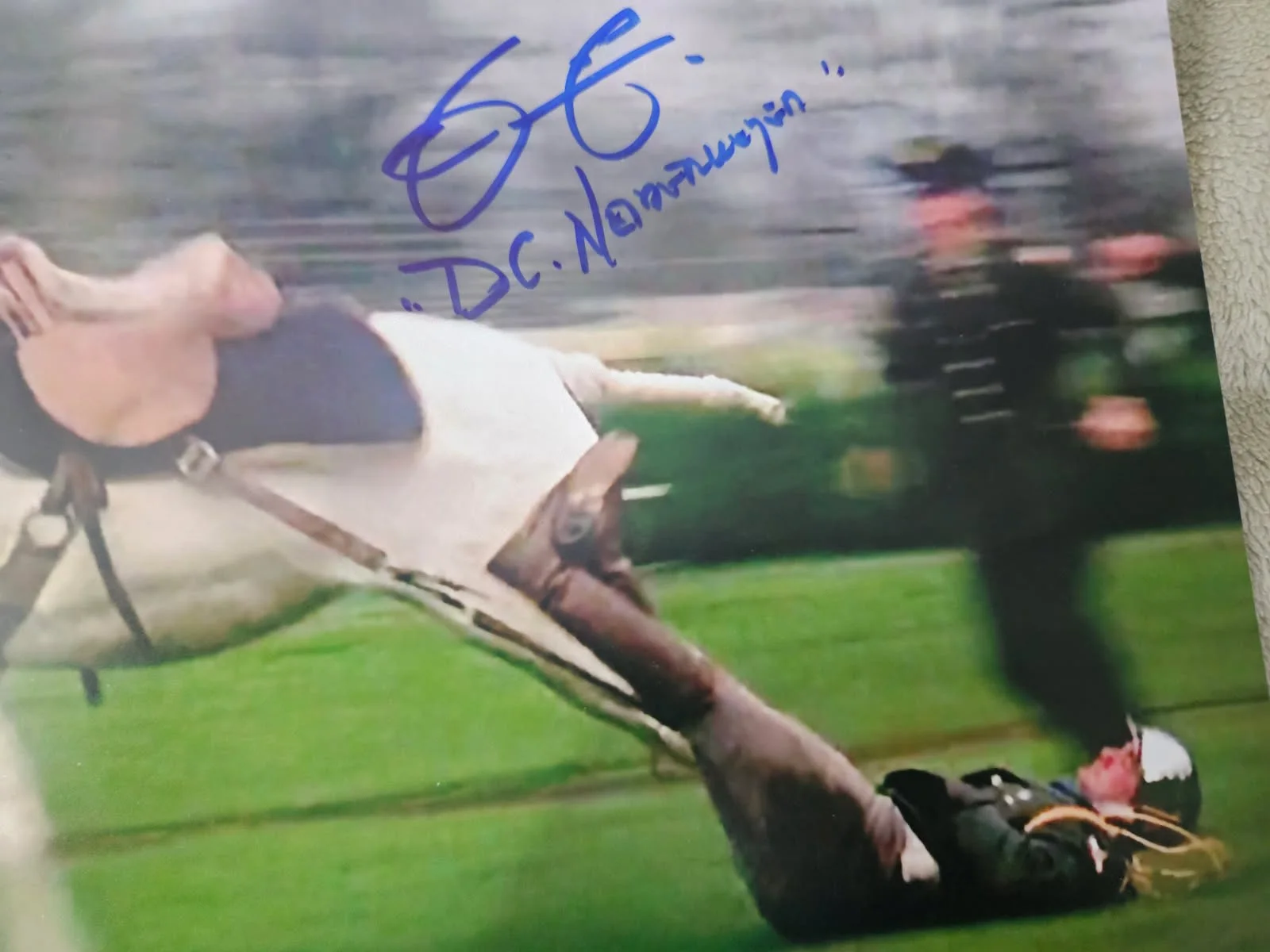 Mark Metcalf — Animal House - Mark Metcalf signed 11x14 photo dragged by horse JSA Certified, изображение 2
