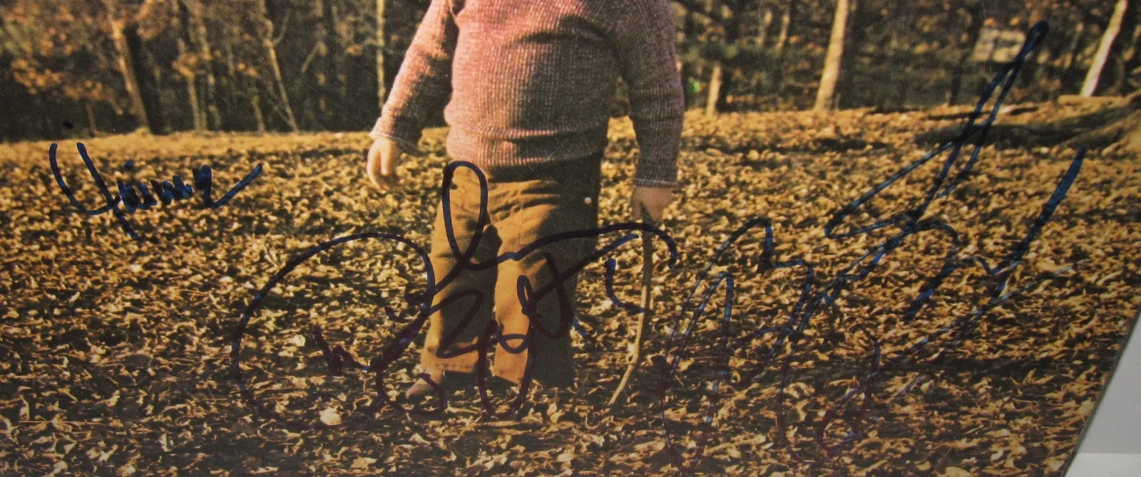 GREGG ALLMAN BROTHERS SIGNED BROTHERS AND SISTERS ALBUM AUTOGRAPH BECKETT LOA X4, изображение 4