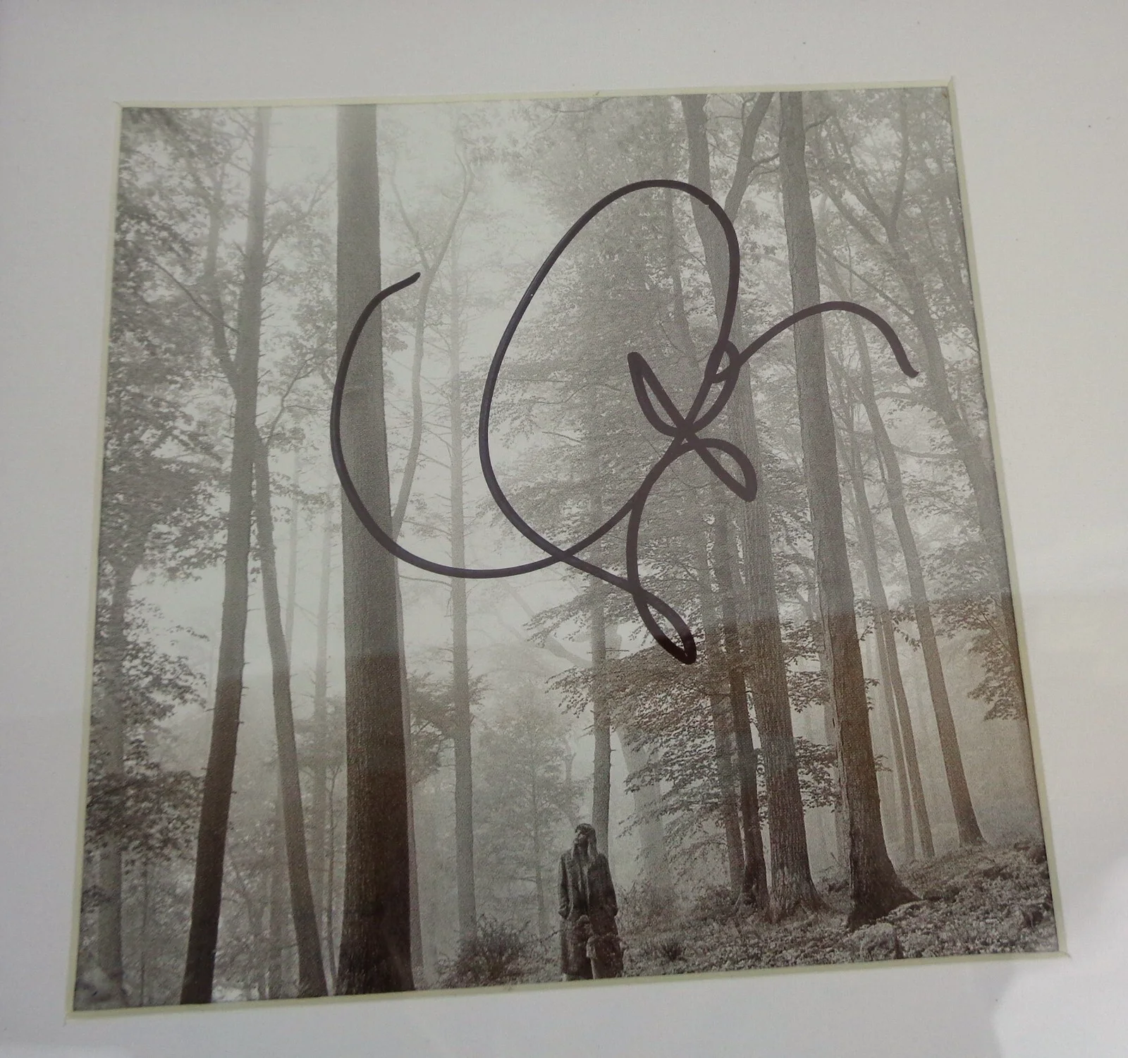Taylor Swift — Taylor Swift Cardigan Signed Autograph Folklore CD Framed PSA/DNA COA F, image 2