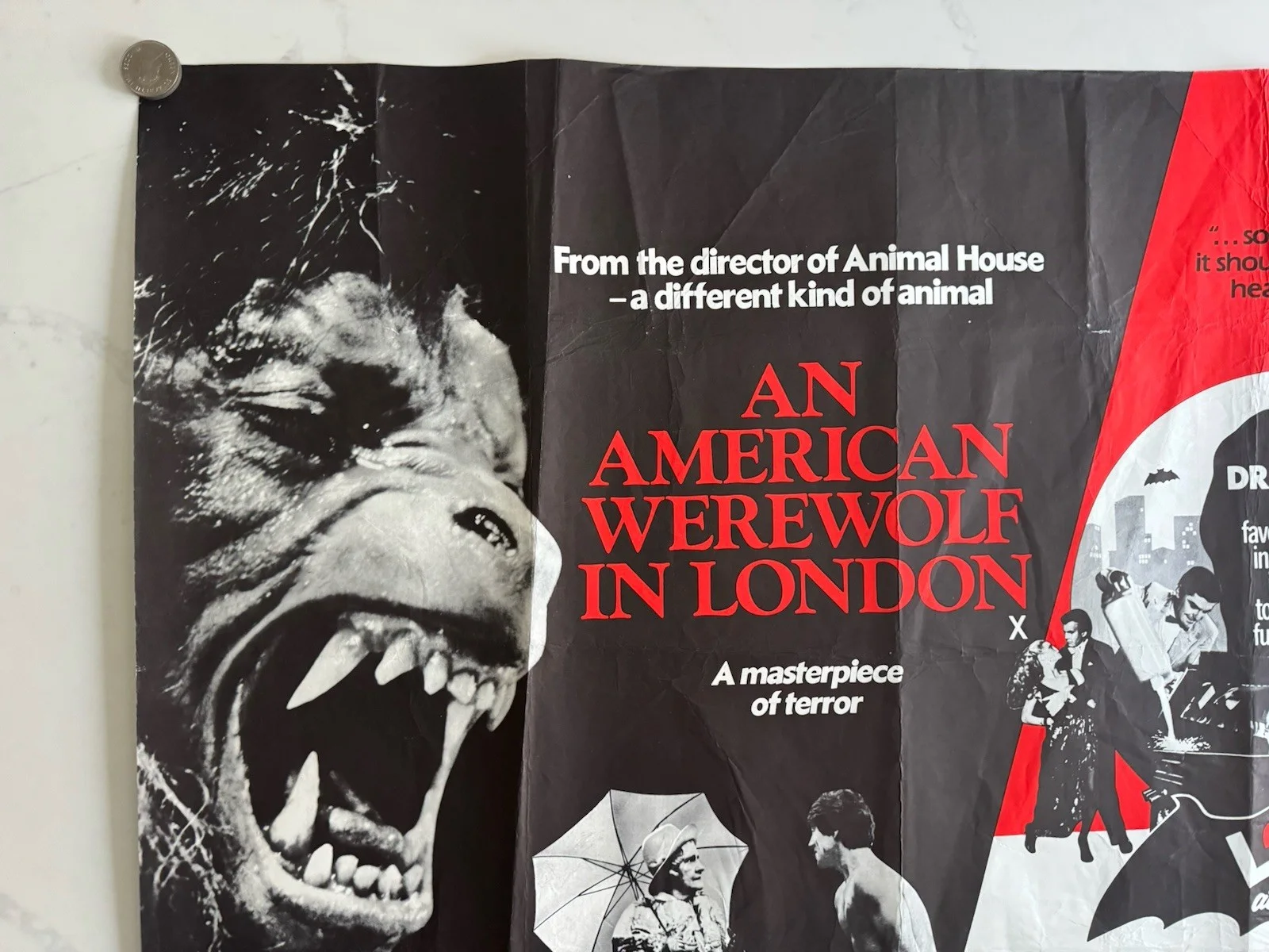 AN AMERICAN WEREWOLF IN LONDON 1981 David Naughton LOVE AT FIRST BITE UK QUAD, image 2
